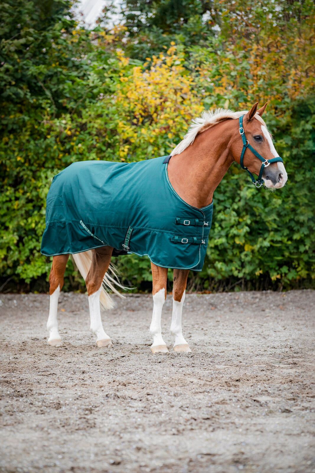 HorseGuard Landon 1200D Turnout Decke, Standardhals, 100g