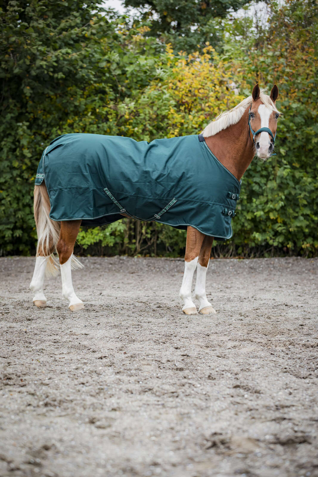 Horse Guard Landon 1200D turnout dekken, standard hals, 200g
