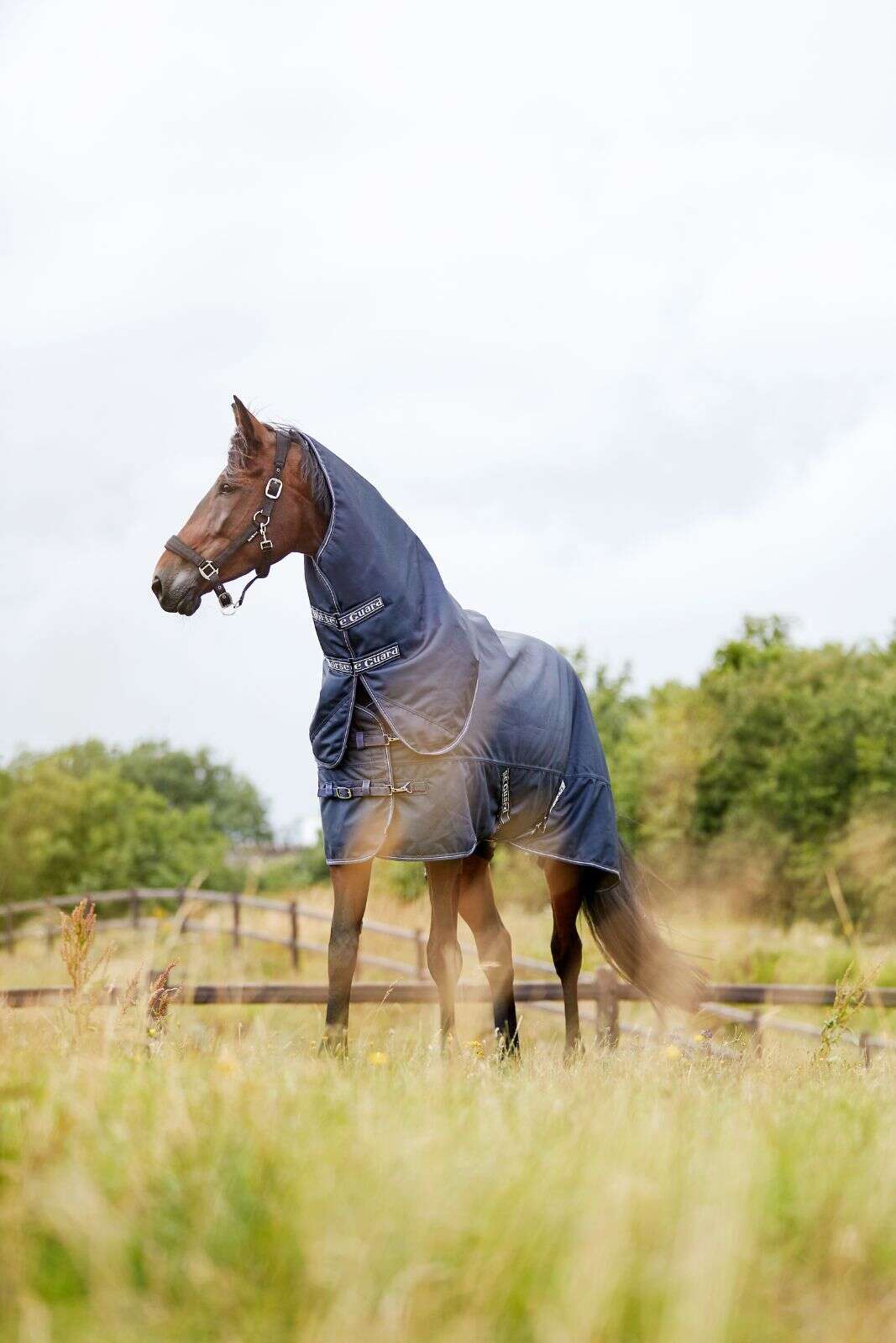 Horse Guard Millan 1200D turnout-dekken med avtagbar hals 100 g
