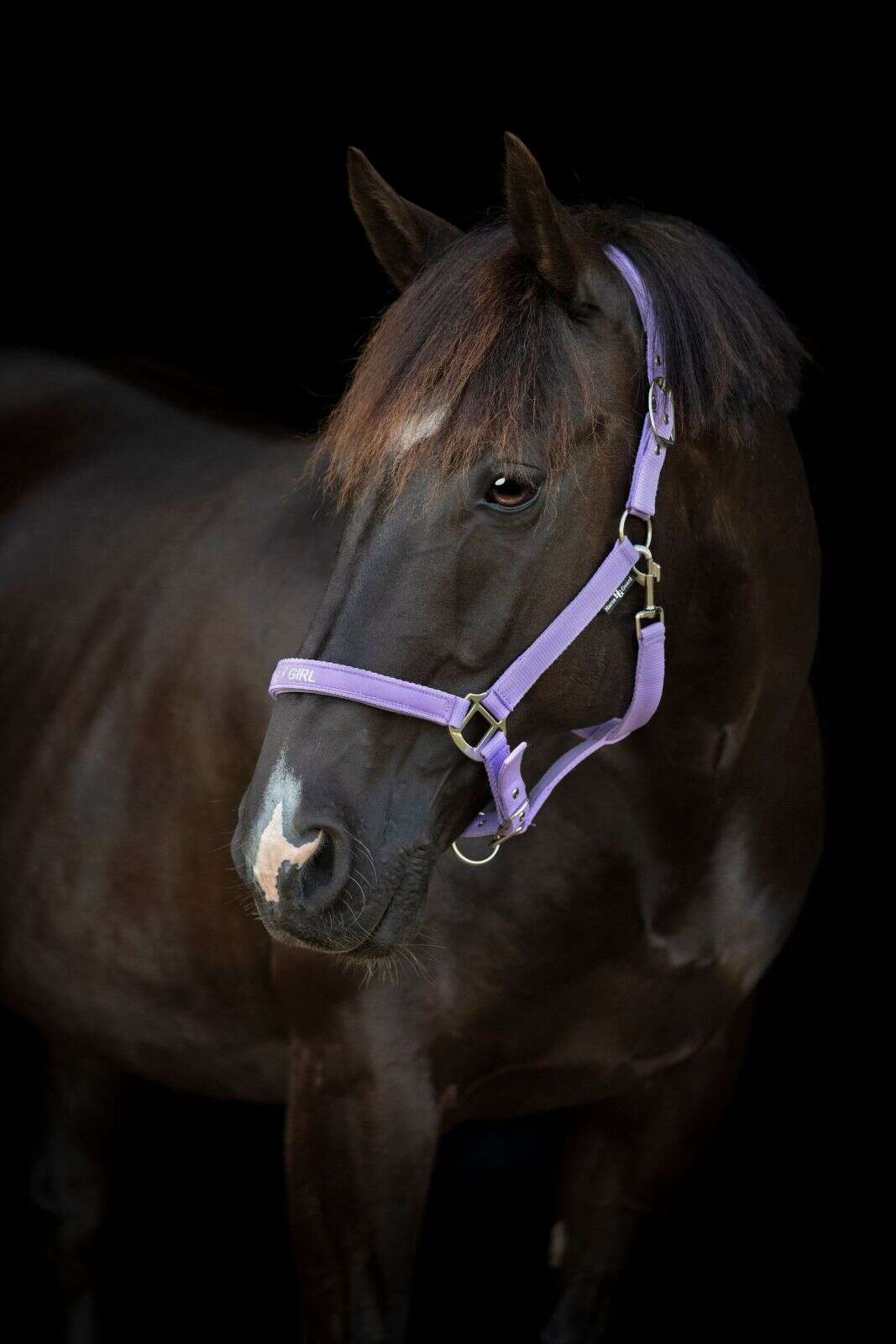 Horse Guard Malva grime "Pretty Girl"