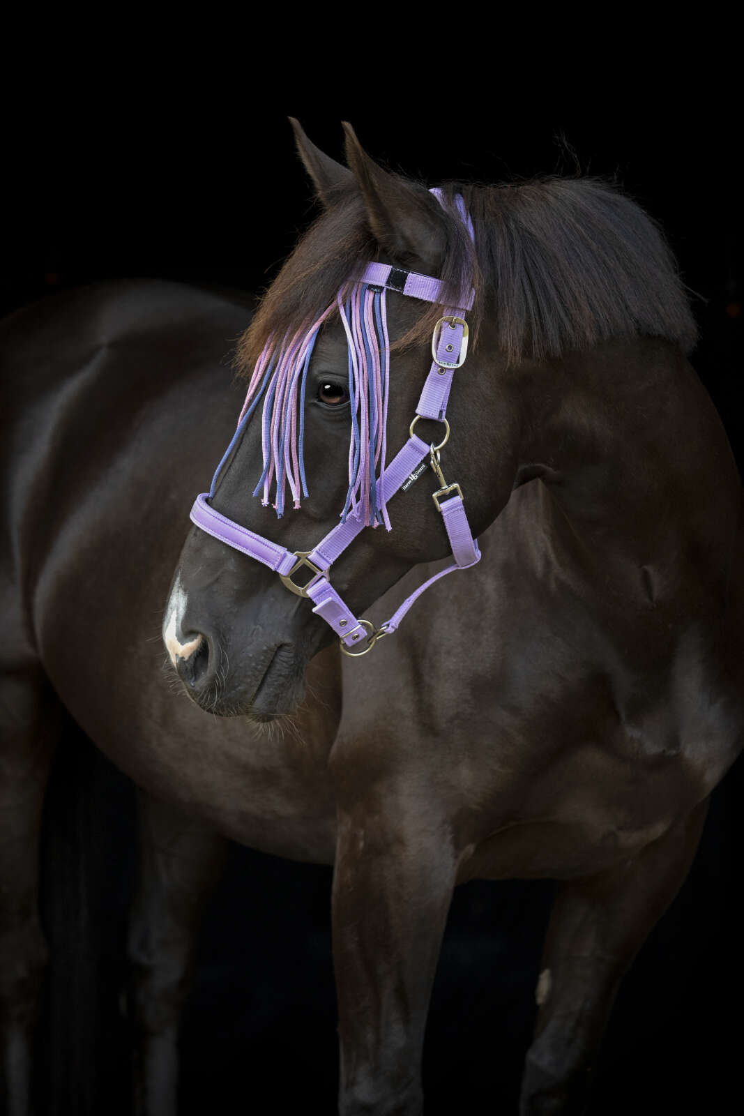 Horse Guard Malva Fly Fringe Browband