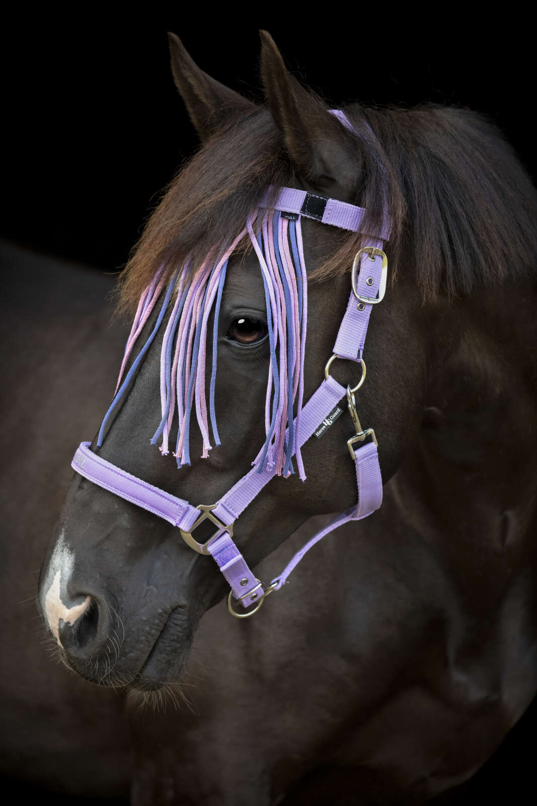 Horse Guard Malva grime "Pretty Girl"
