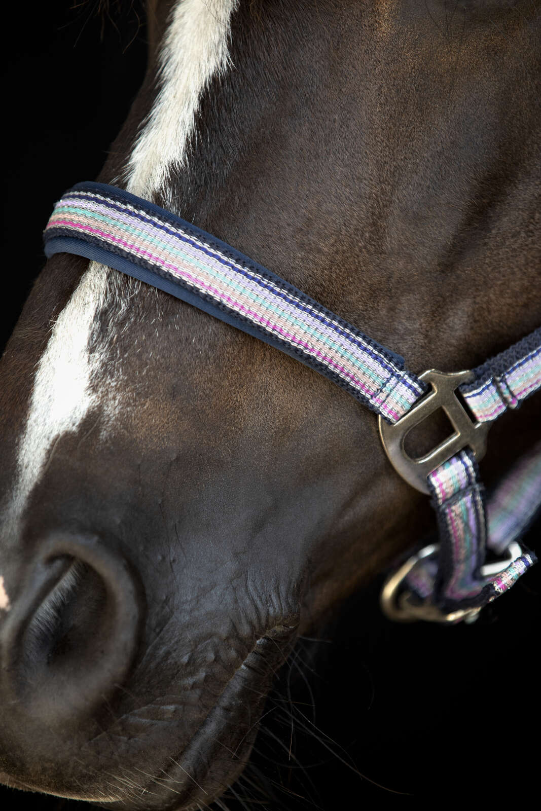 Horse Guard Mascha halter