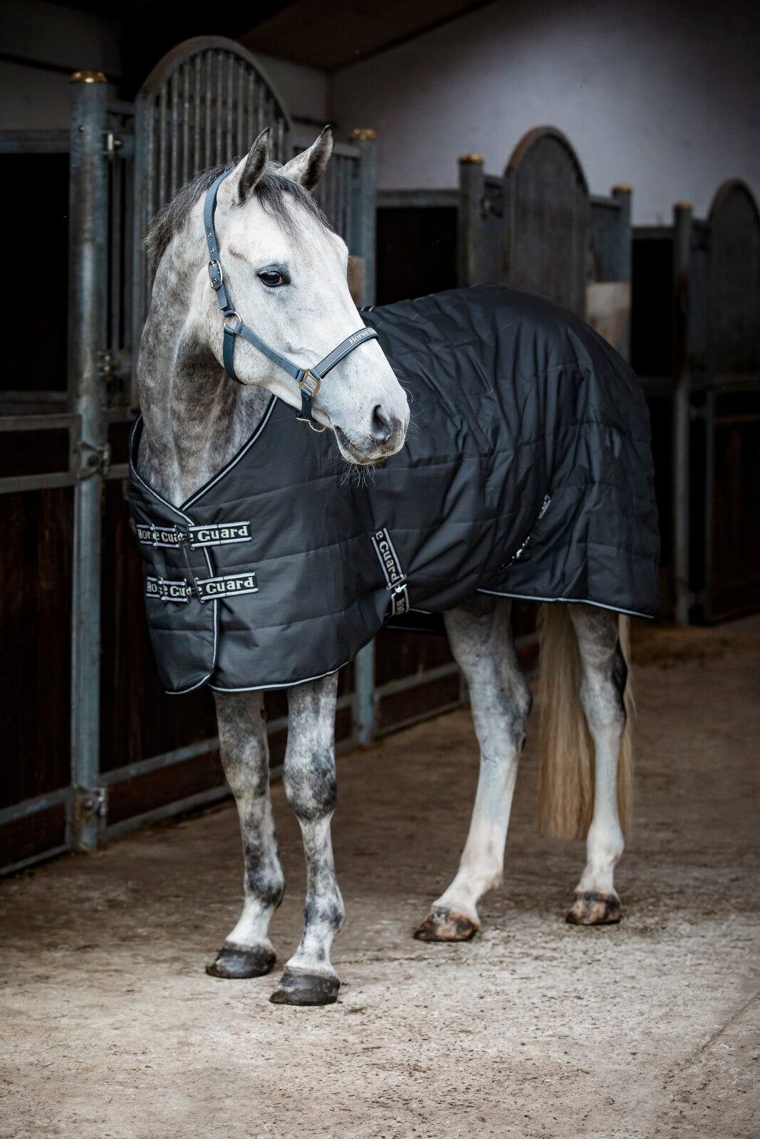 Horse Guard Sophie Stalldecke 600D 100g