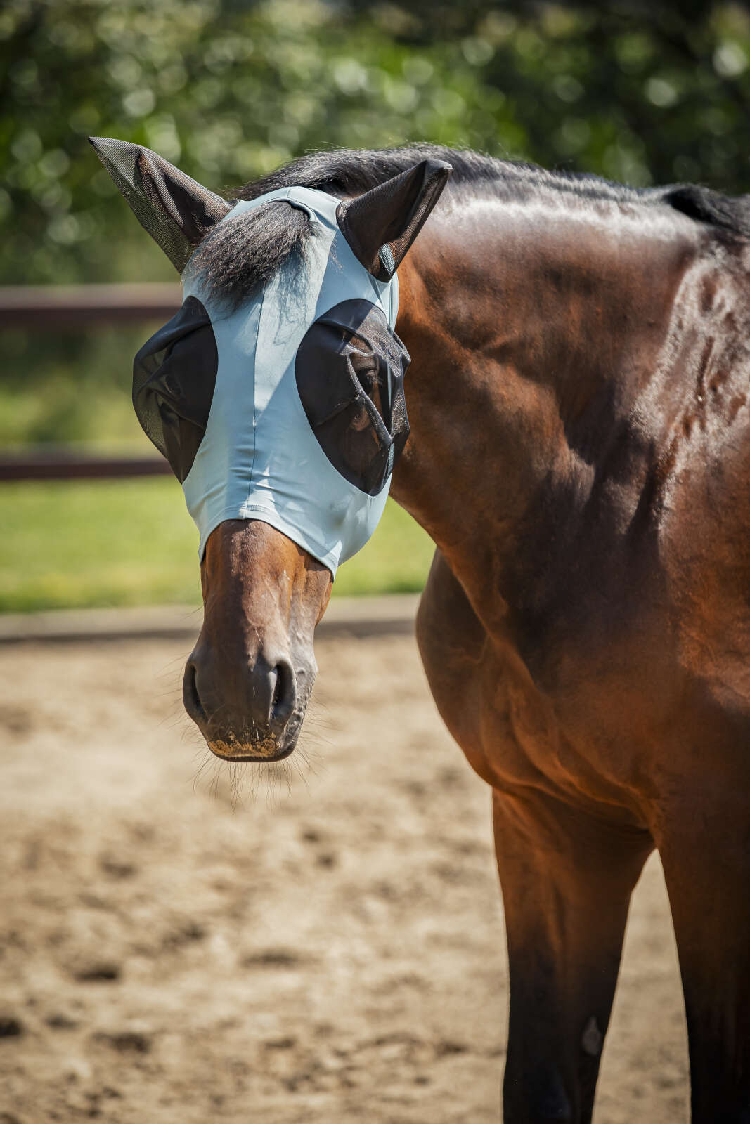 Horse Guard-insektmaske