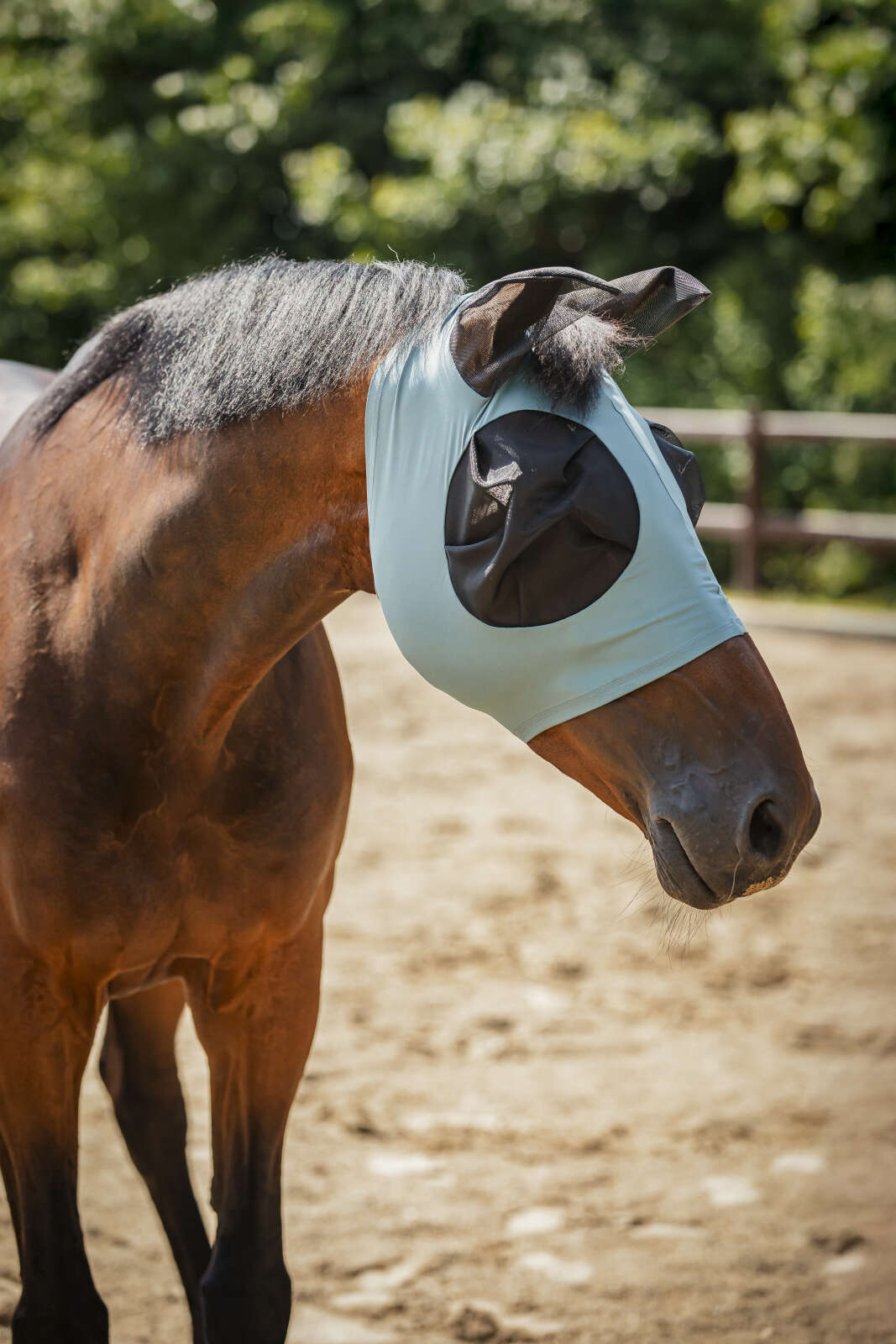 Horse Guard insect mask