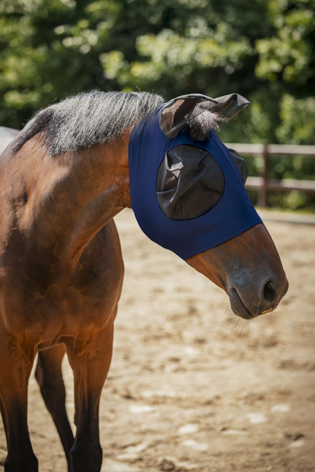 Horse Guard insect mask