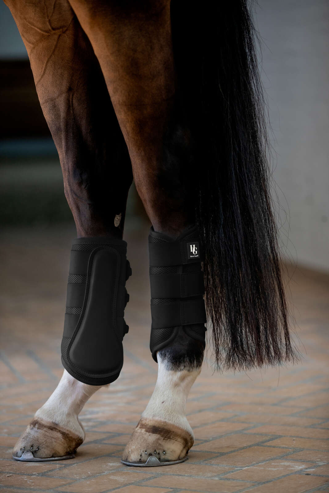 Horse Guard Timothy mesh dressurgamacher
