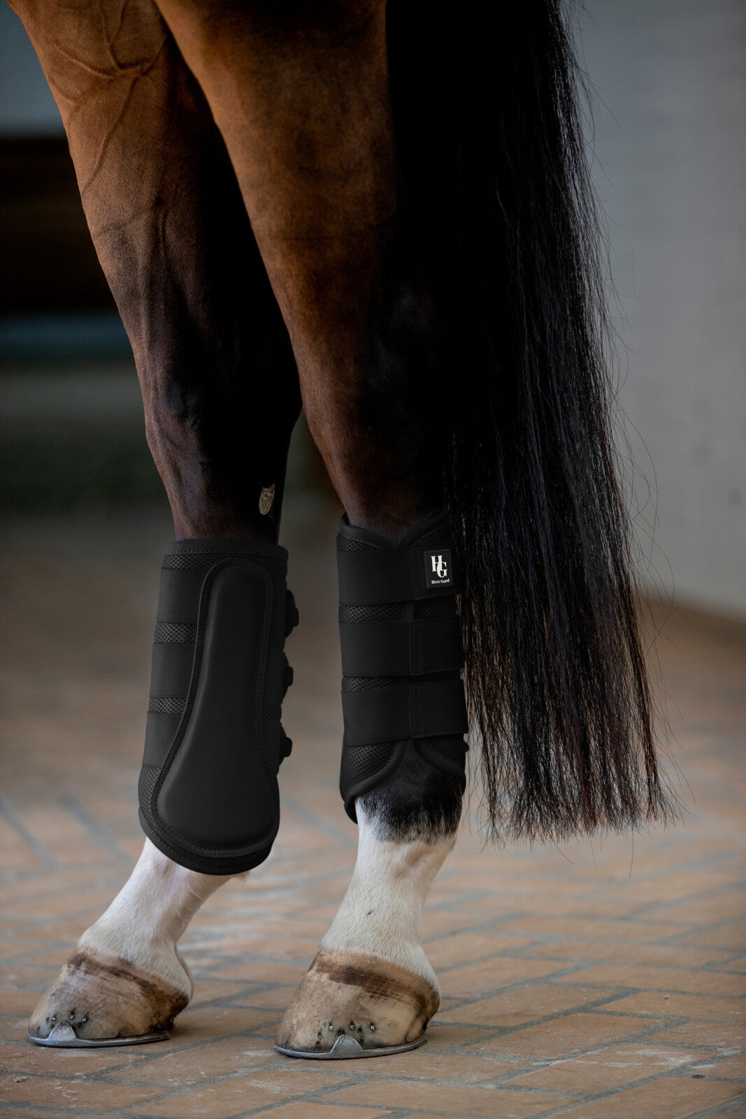 HorseGuard Timothy mesh dressage boots