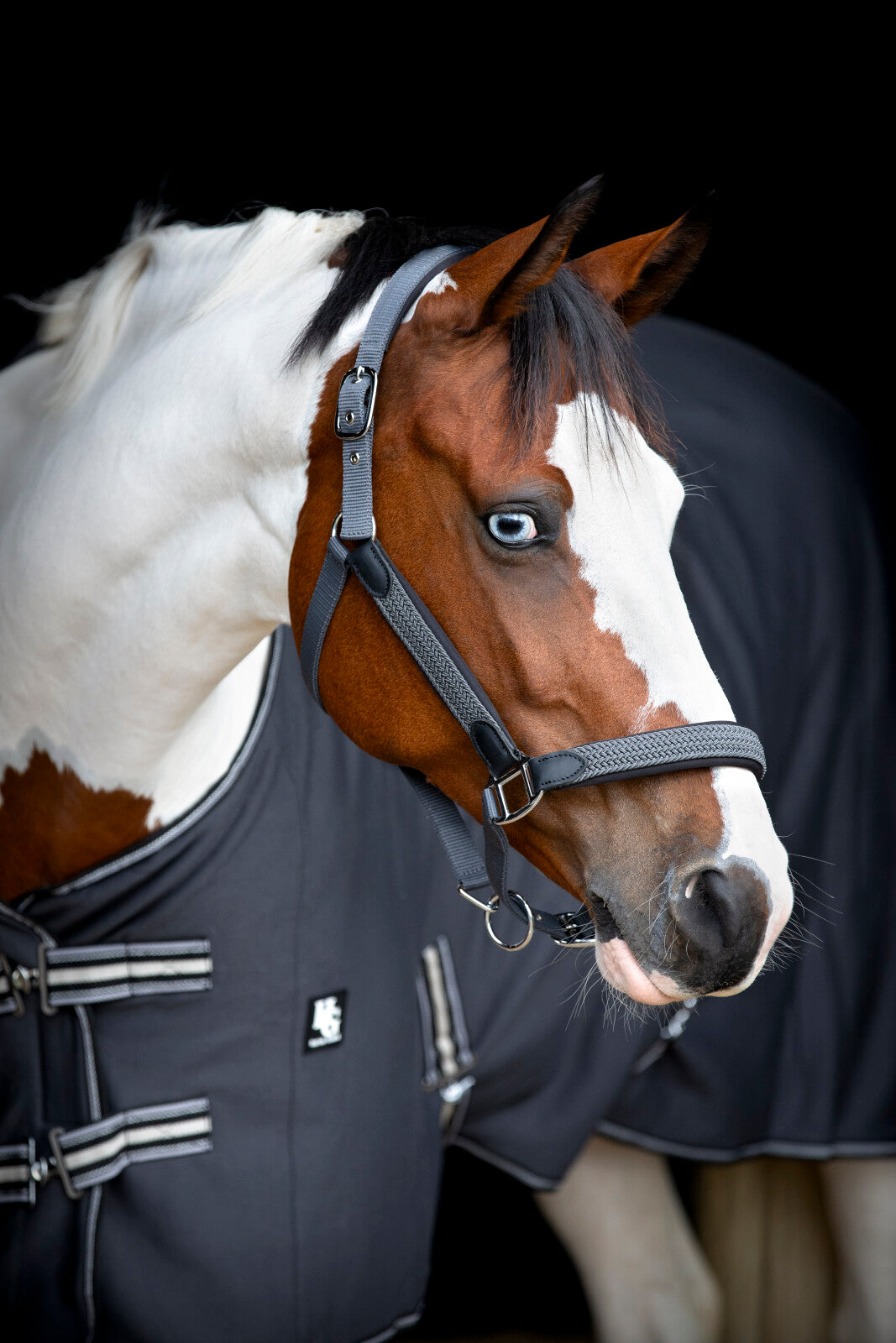 HorseGuard Vardia Halfter mit Flechtdetails