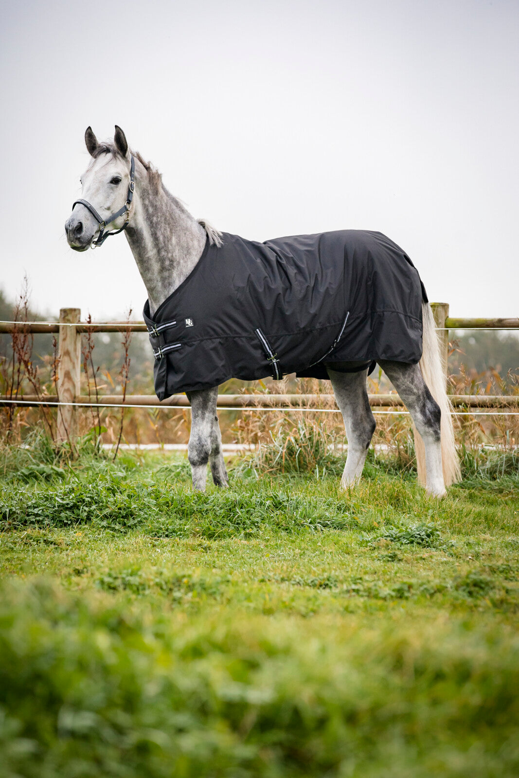 HorseGuard Outdoordecke 600D, 200 g