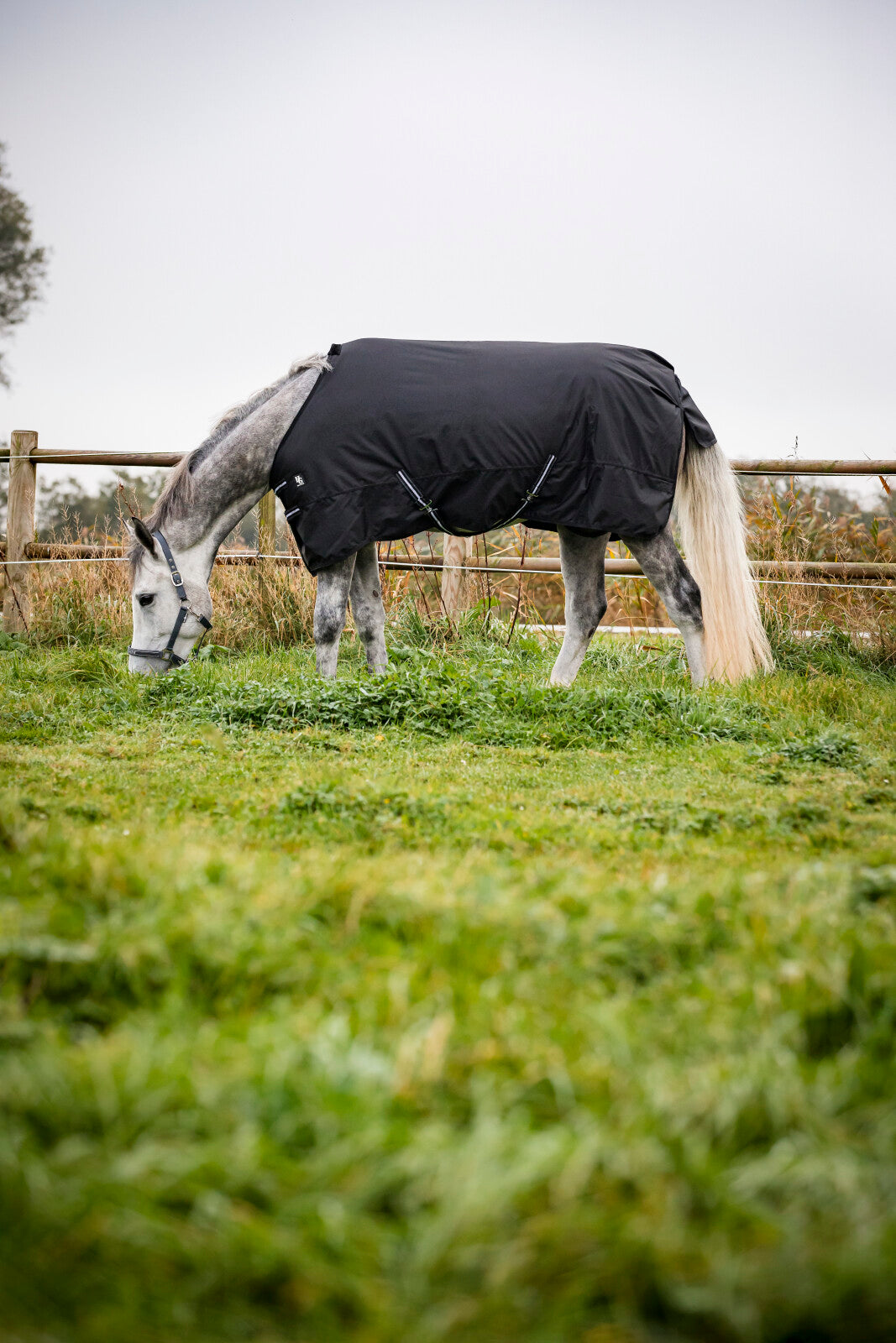 HorseGuard Winter-Outdoordecke 600D, 400g