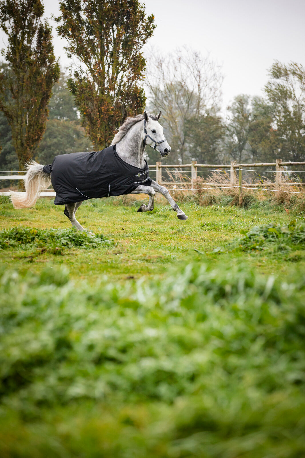 HorseGuard Winter-Outdoordecke 600D, 400g