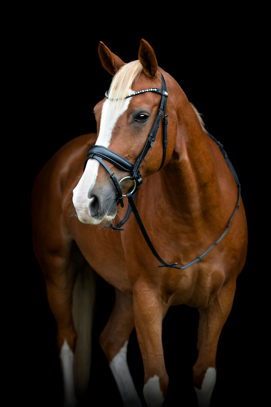 Horse Guard Cryll 25.2 trense komb. m/tilbagetræk