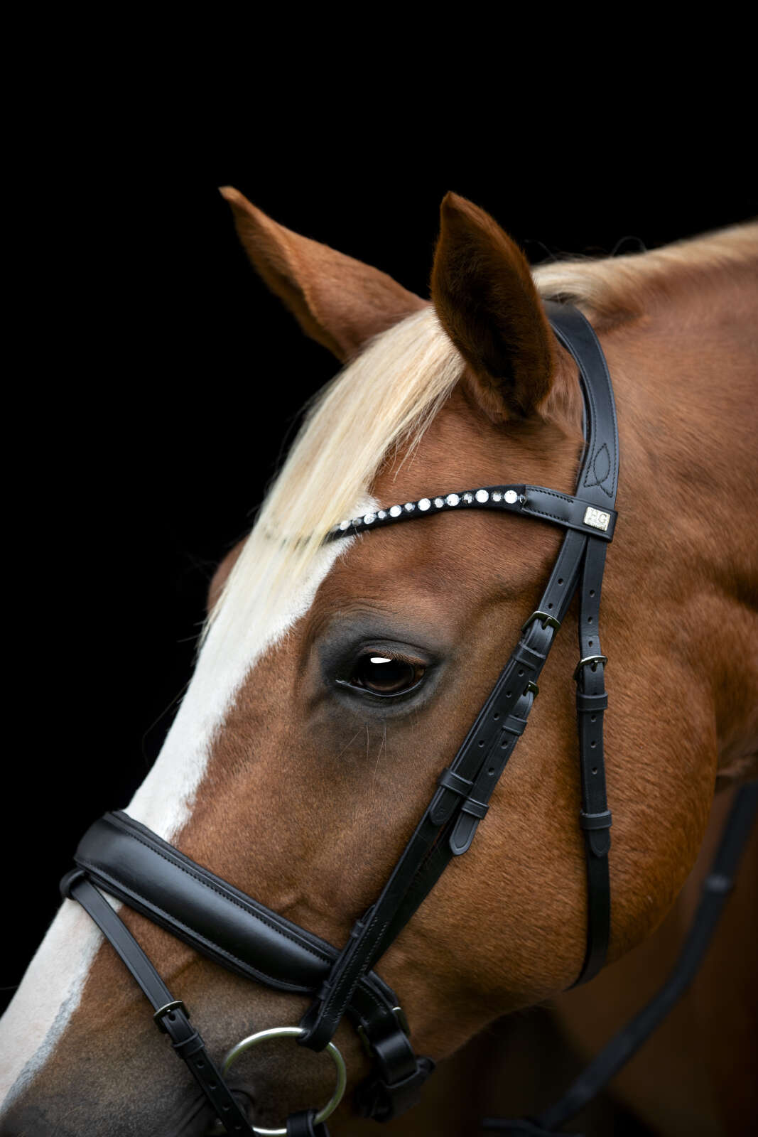 Horse Guard Cryll 25.2 Trense, Pullback & Kombiniert