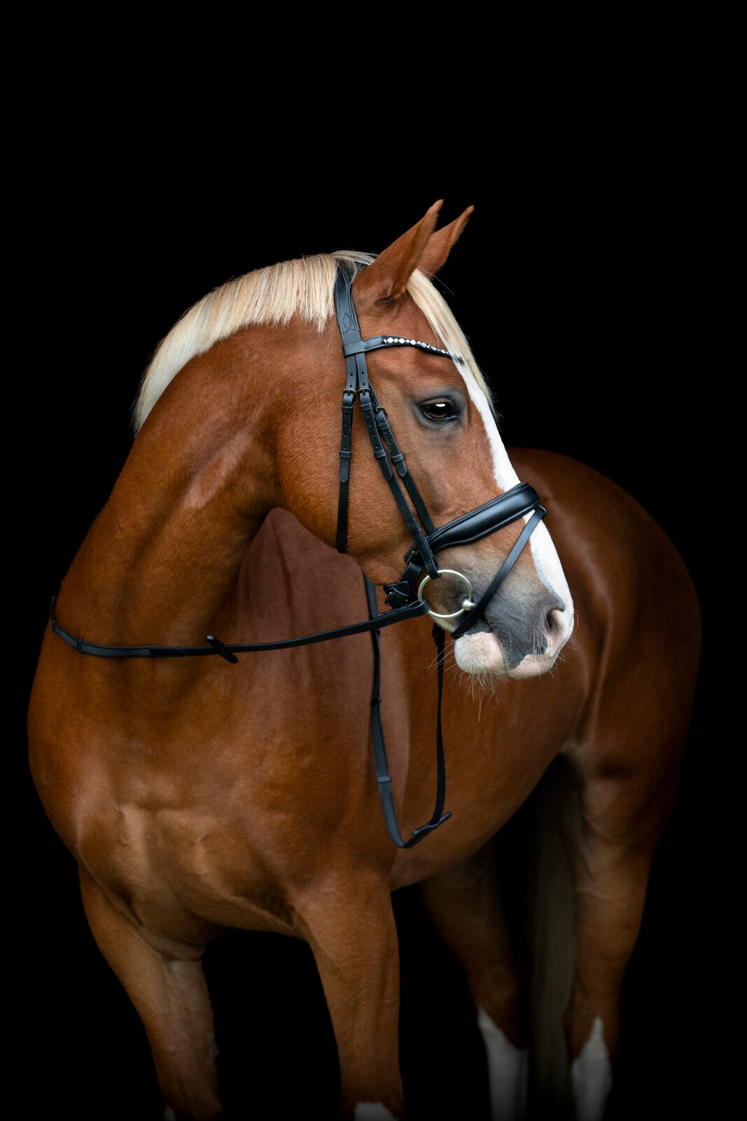 Horse Guard Cryll 25.2 trense komb. m/tilbagetræk
