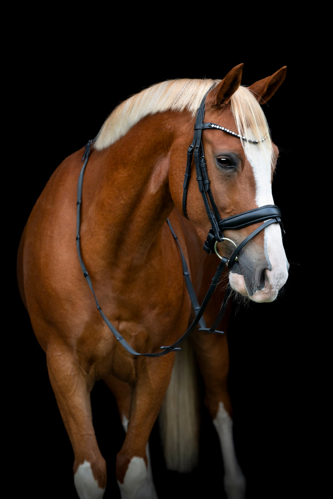 Horse Guard Cryll 25.2 trense komb. m/tilbagetræk