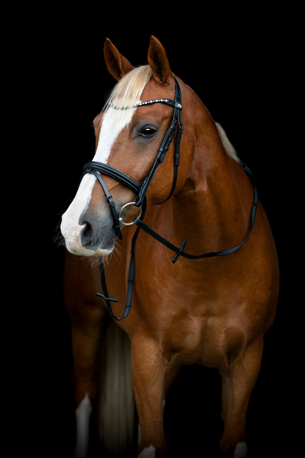 HorseGuard Emi 25.2 trenser m/kombineret næsebånd