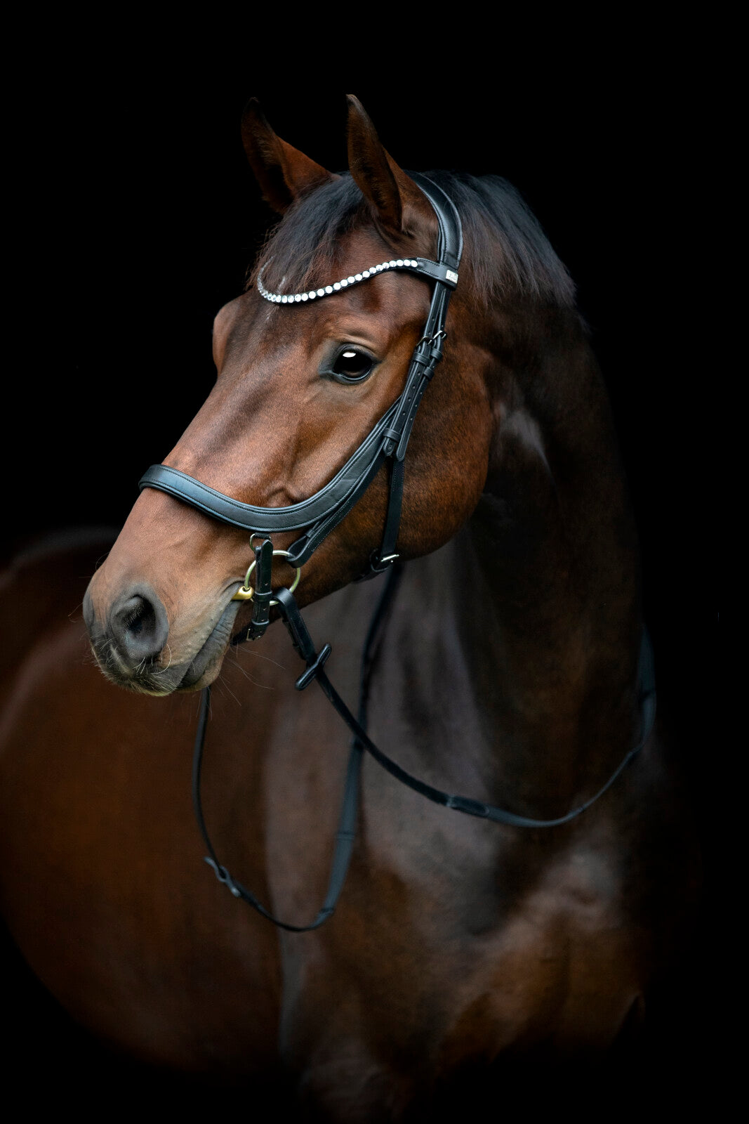 HorseGuard Vinja anatomisches Reithalfter