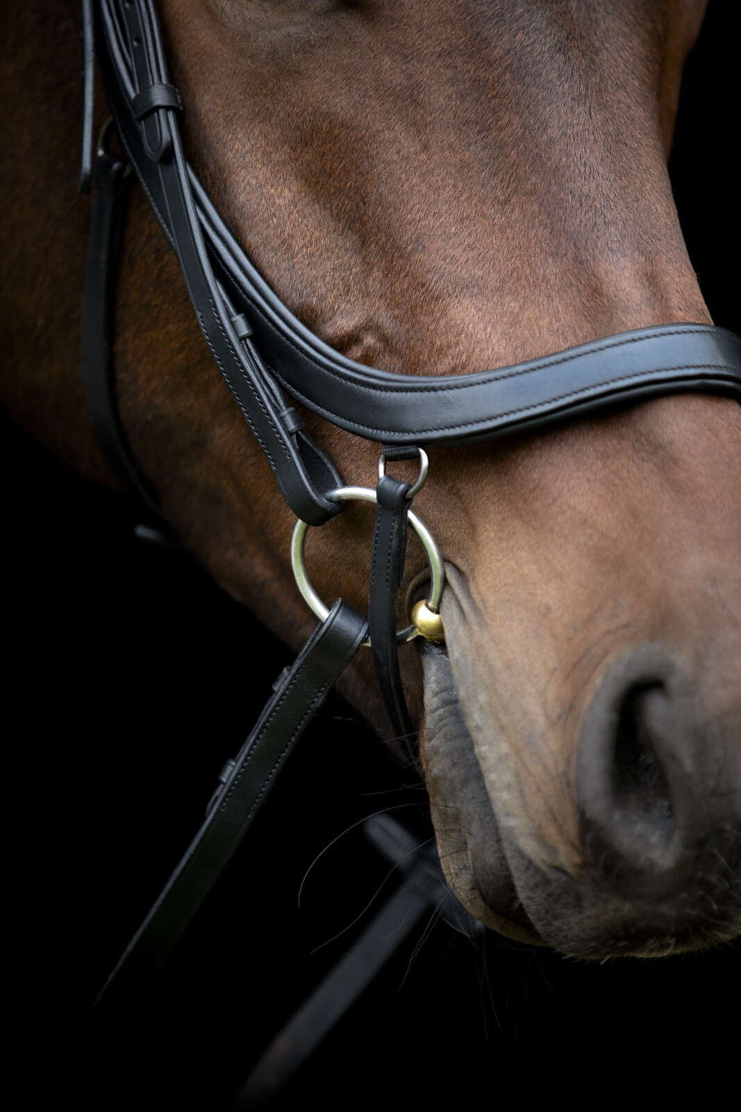 HorseGuard Vinja anatomisches Reithalfter