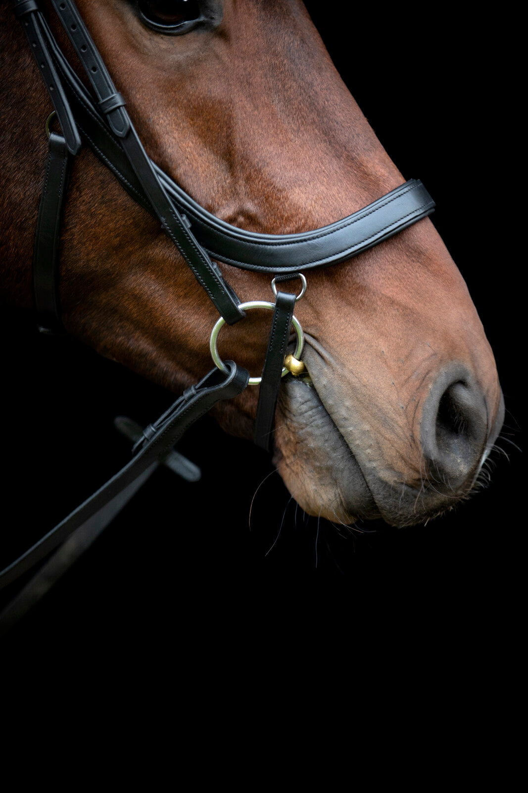 HorseGuard Vinja anatomisches Reithalfter
