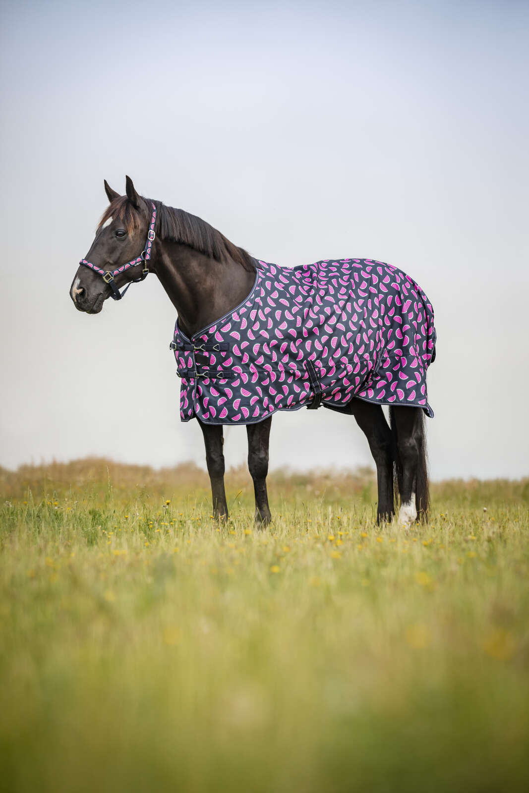 HorseGuard Melon halter