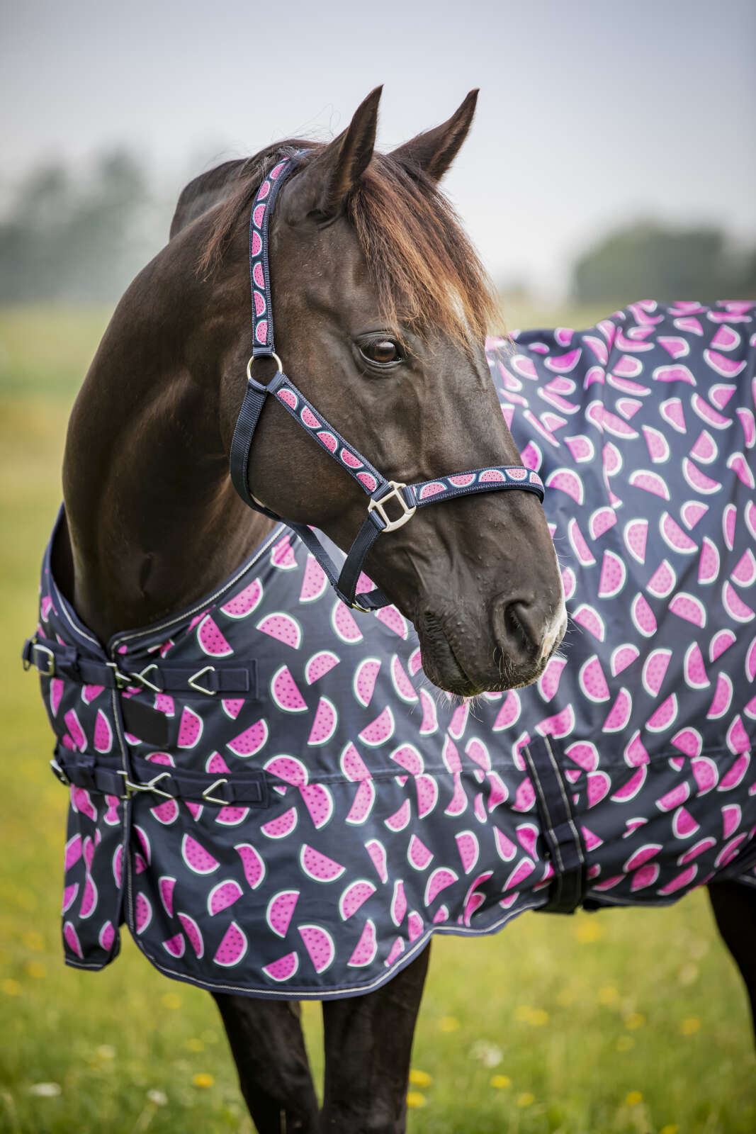 Horse Guard Melon turnout rug, standard neck, 0g
