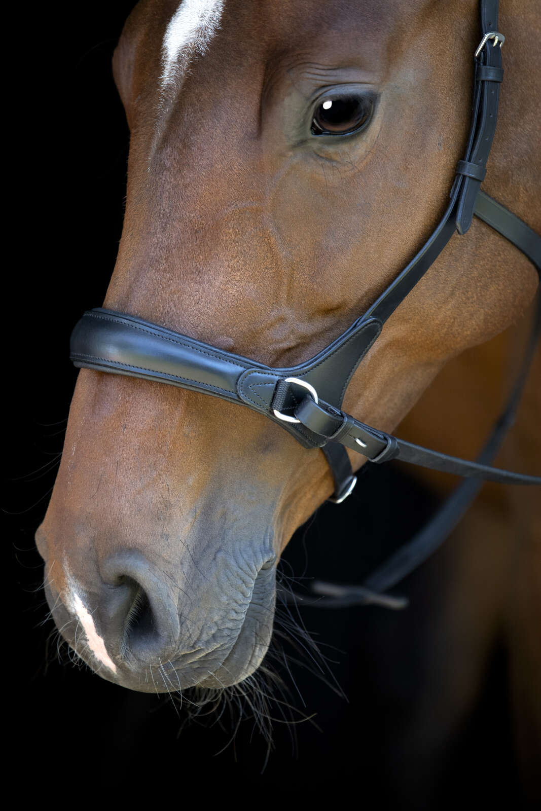 Horse Guard hodelag uten bitt