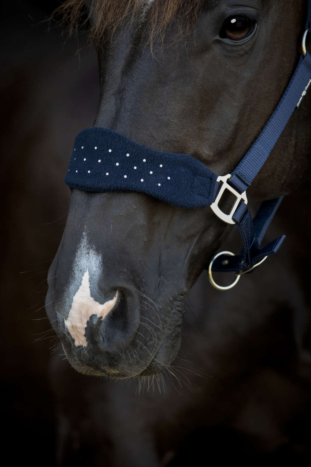 Horse Guard Anabel halter