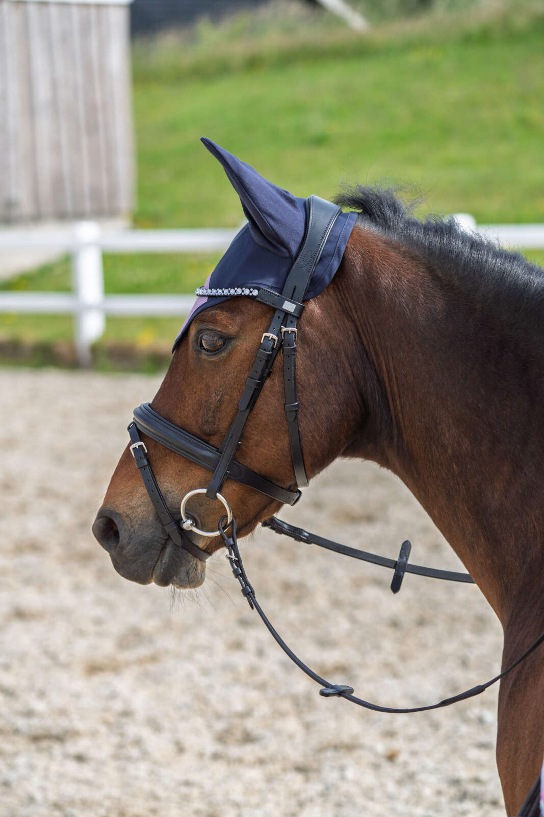 Horse Guard Glitter ørehette