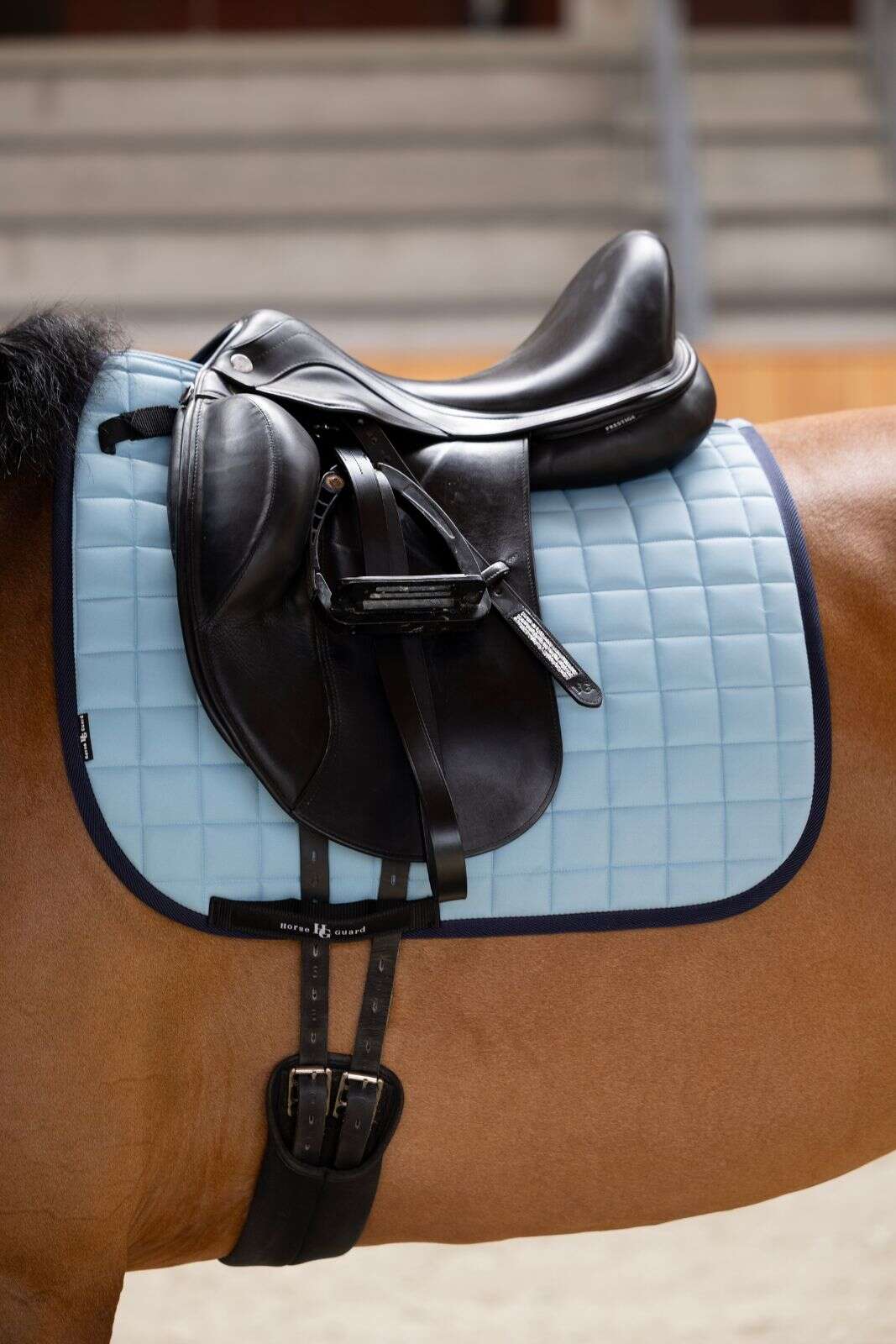Horse Guard Alvi saddle pad, dressage