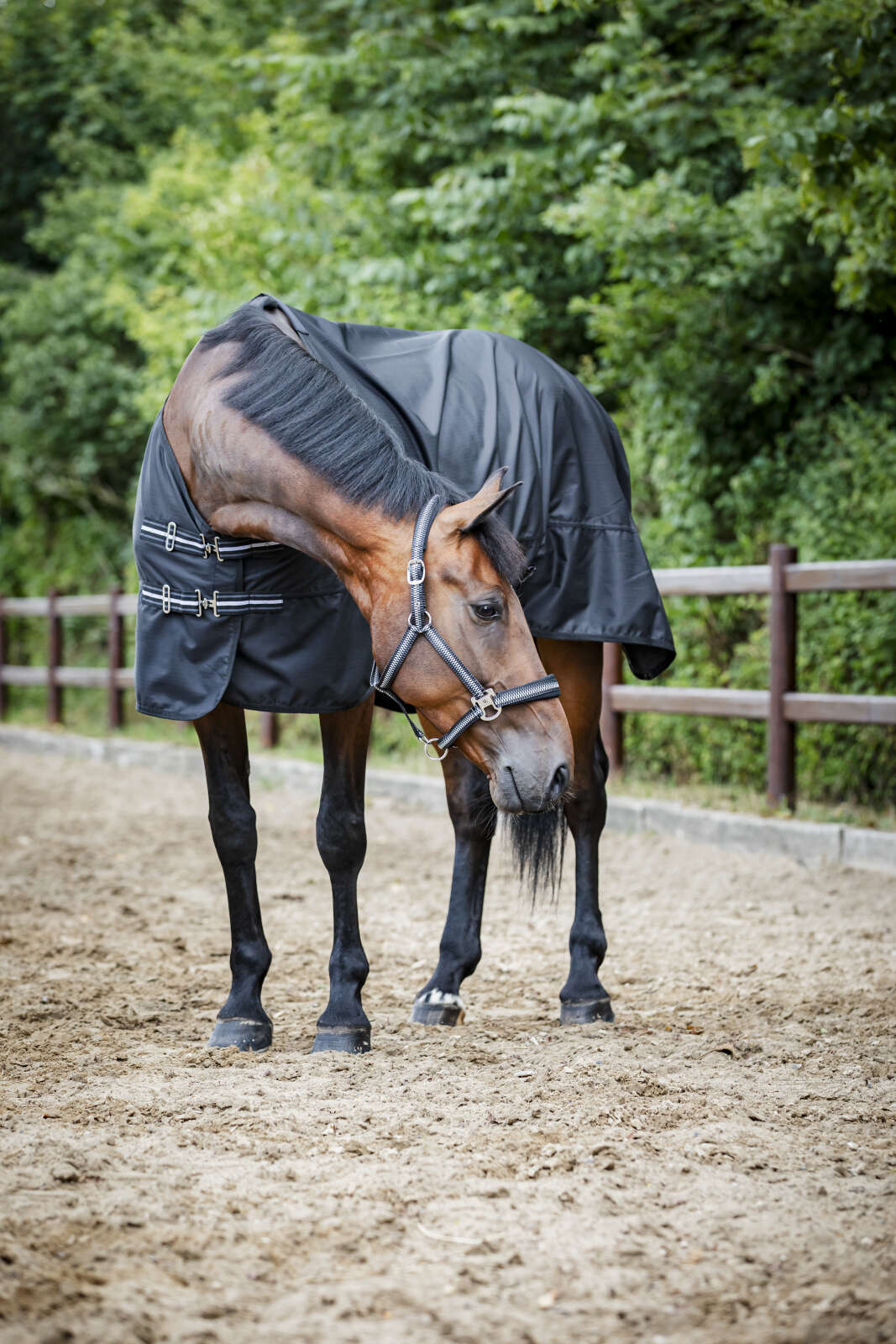 Horse Guard Aron 600D turnout dekken m/ teddyfleece