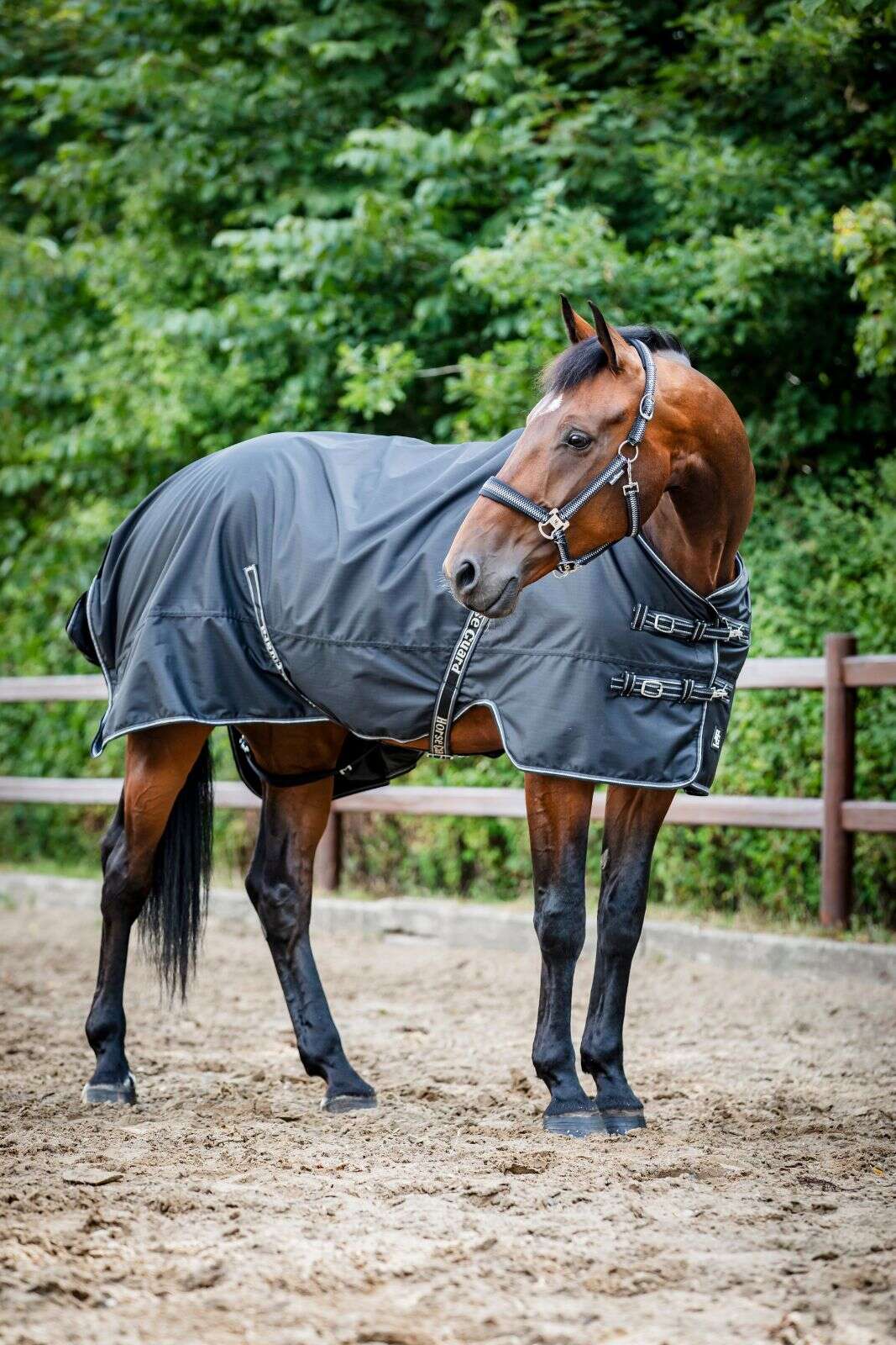 Horse Guard Aron 600D turnout dekken m/ teddyfleece