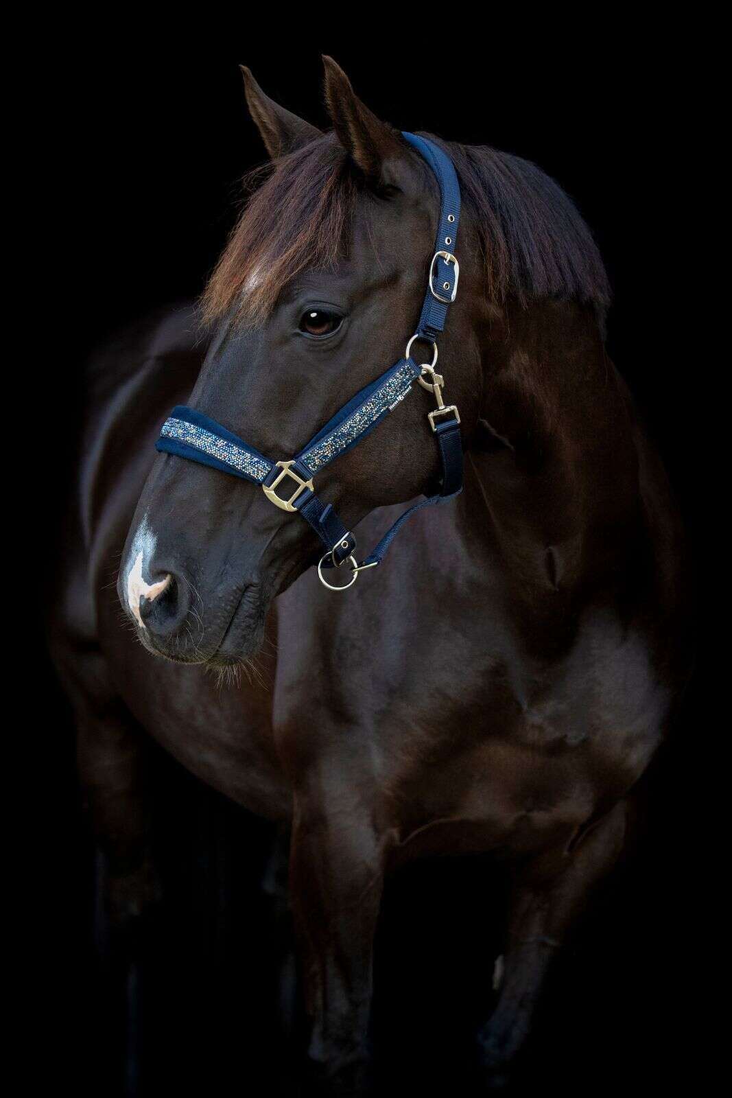Horse Guard Angel glitter halter