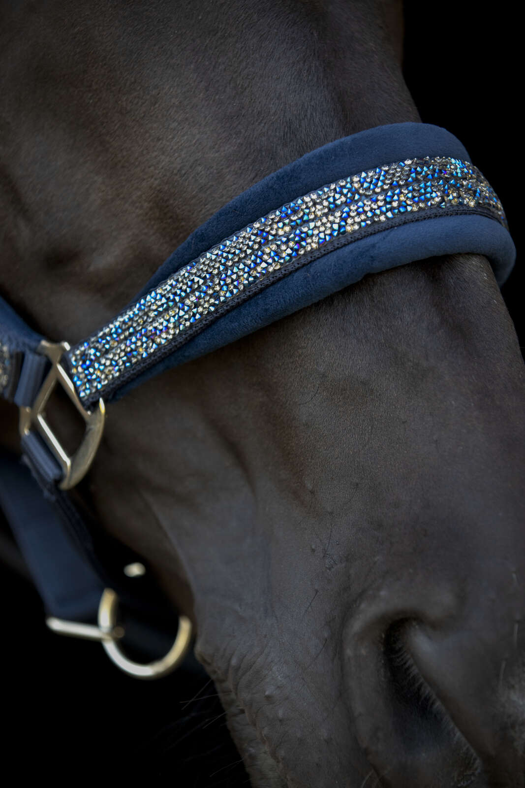 Horse Guard Angel glitter halter