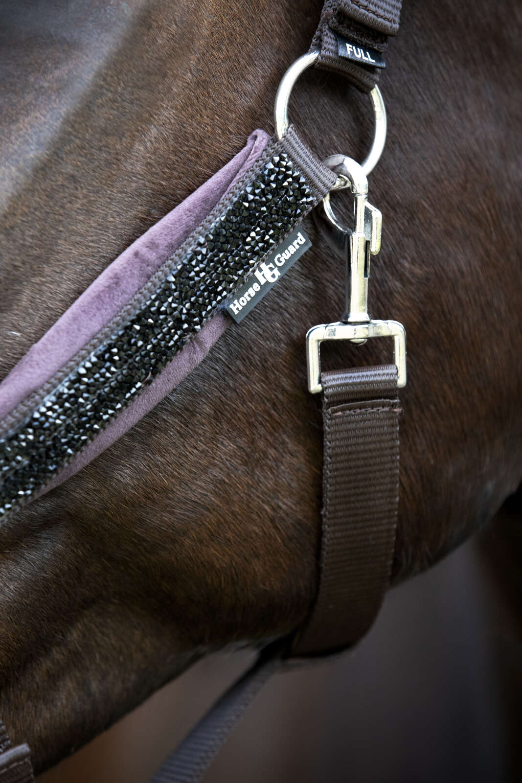 Horse Guard Angel glitter halter