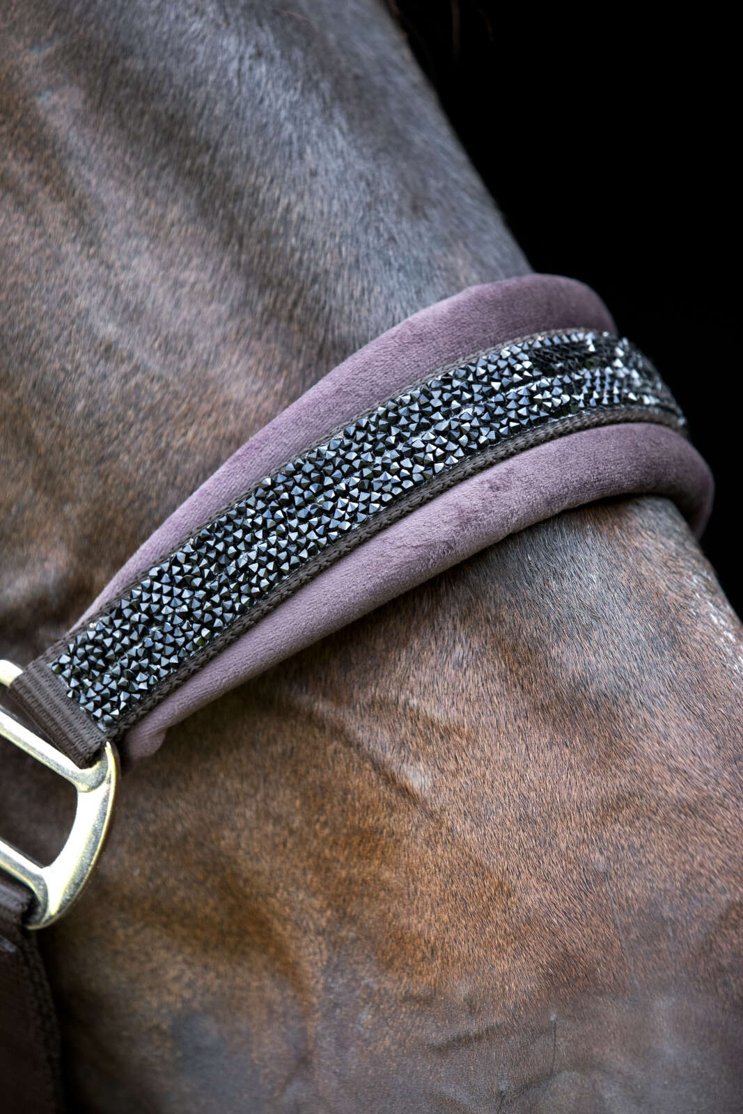 Horse Guard Angel glitter halter