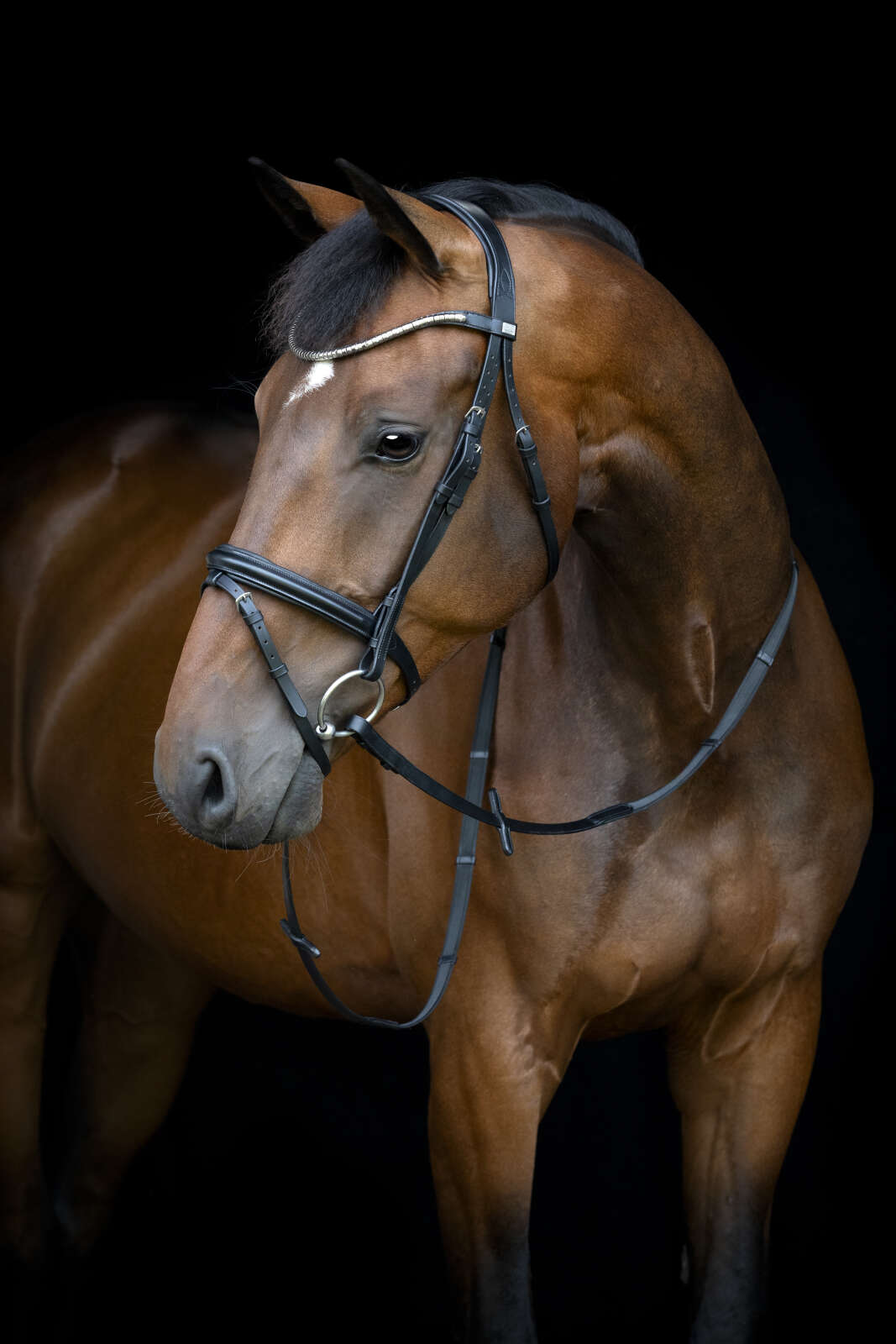 Horse Guard Emi 26.1 bridle with combined noseband
