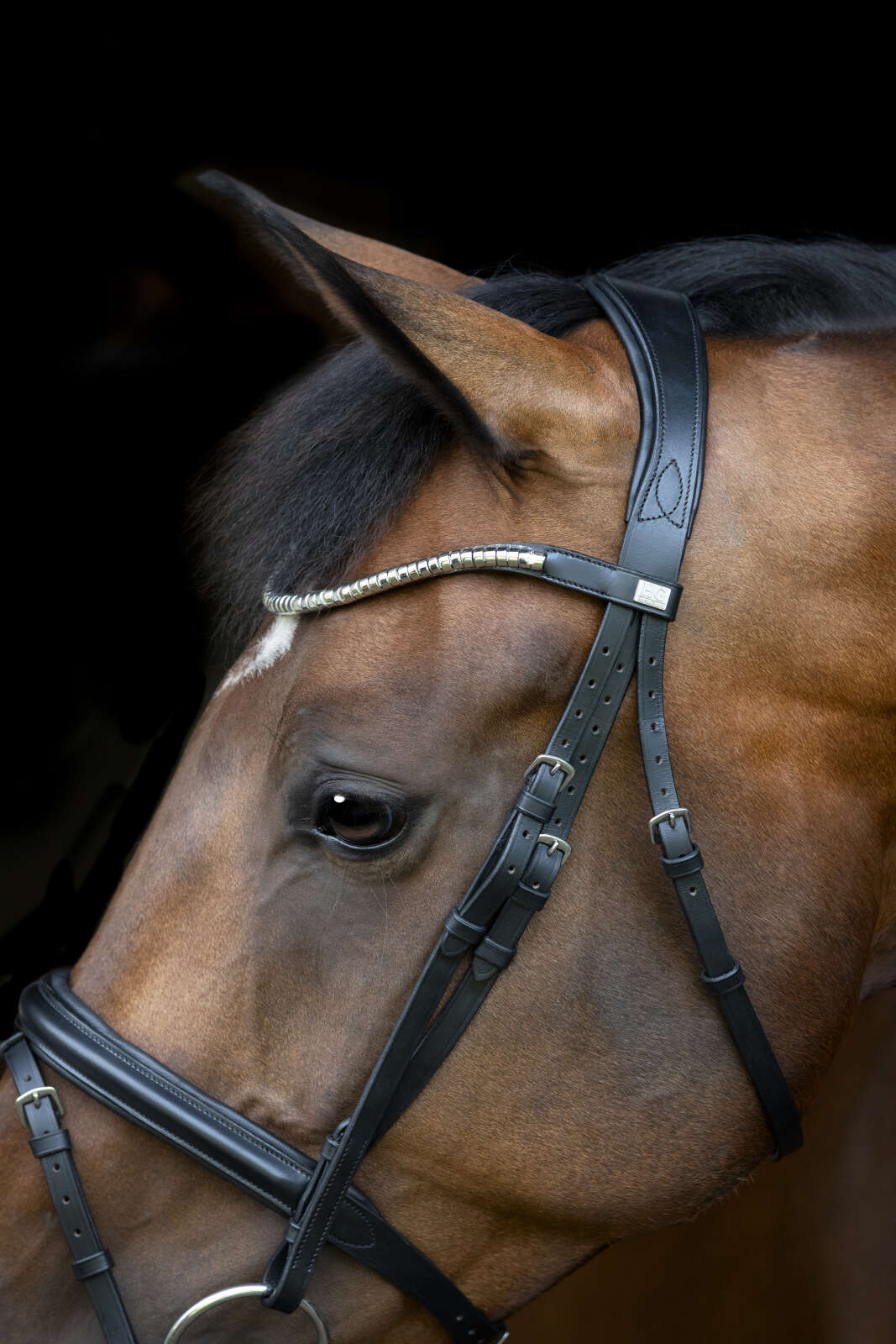 Horse Guard Emi 26.1 bridle with combined noseband