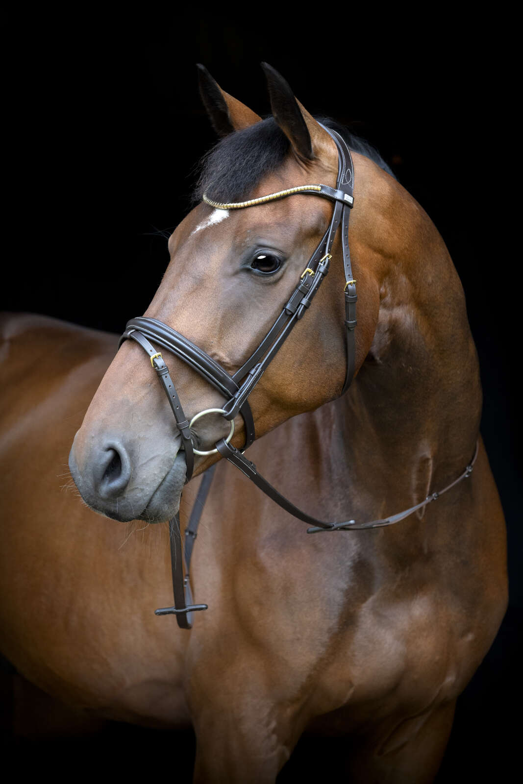 HorseGuard Emi 26.1 bridle with combined noseband