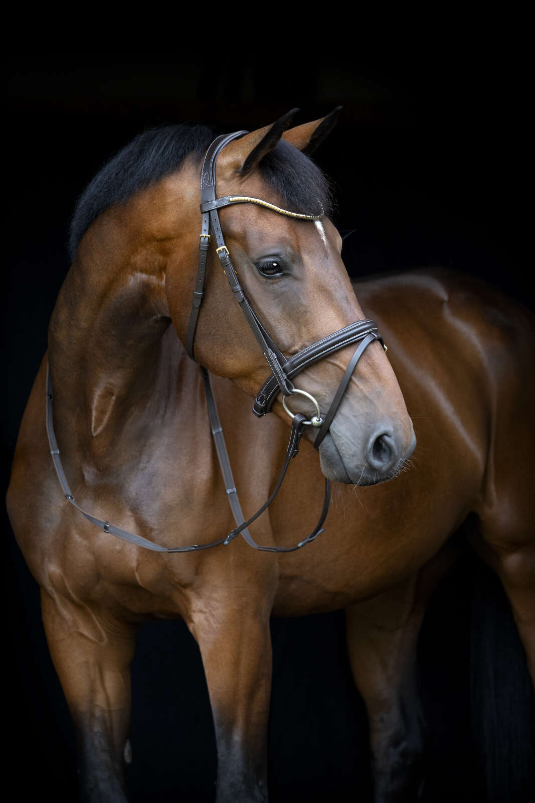 HorseGuard Emi 26.1 bridle with combined noseband