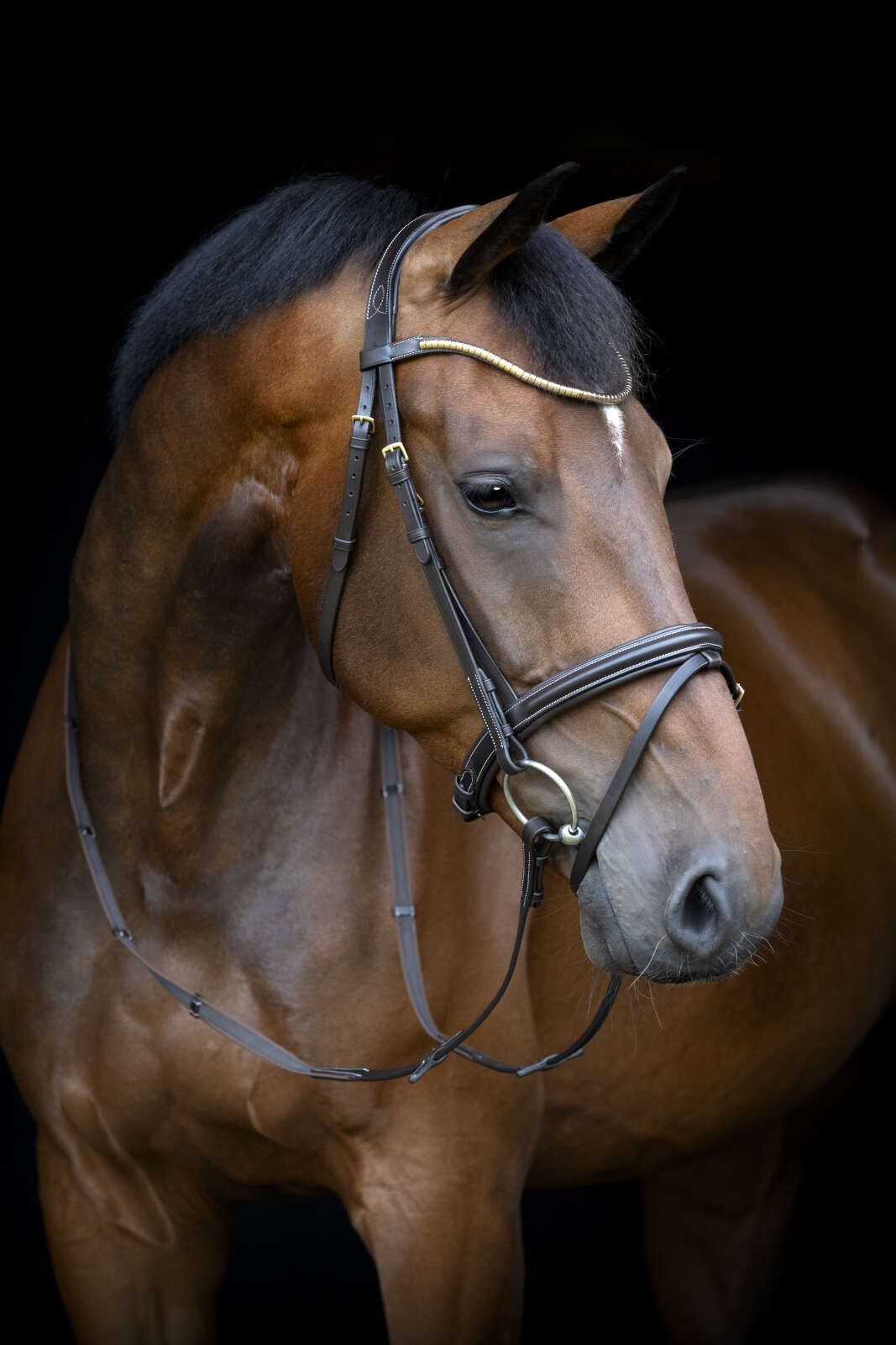 Horse Guard Emi 26.1 träns med kombinerad nosgrimma