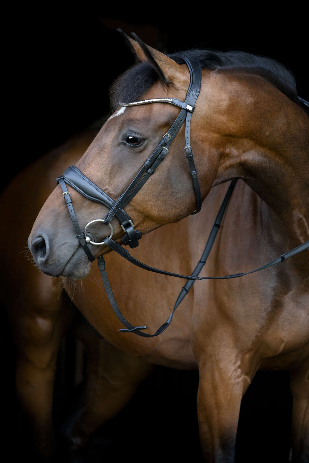 Horse Guard Cryll 26.1 Träns med pullback