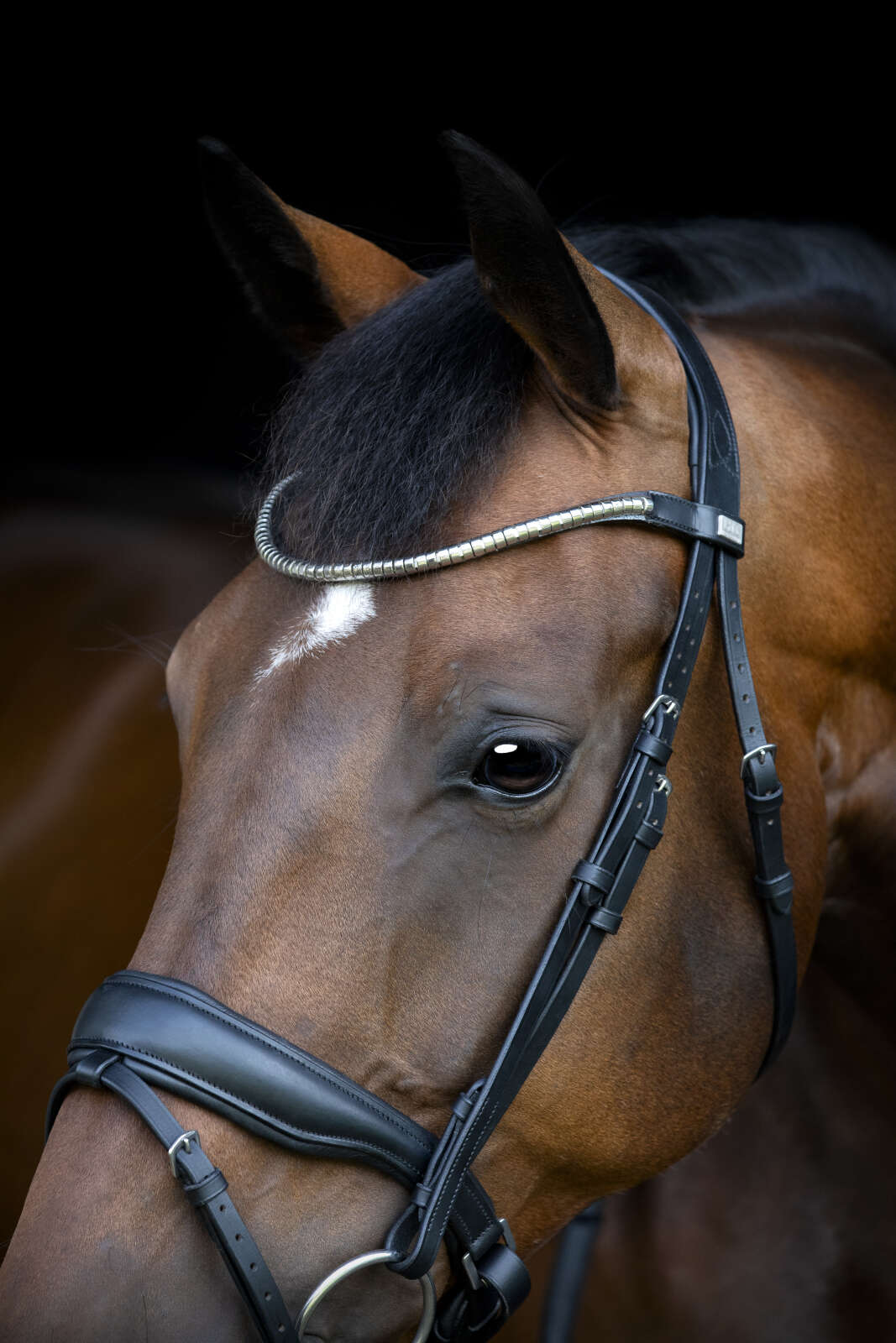 Horse Guard Cryll 26.1 Träns med pullback