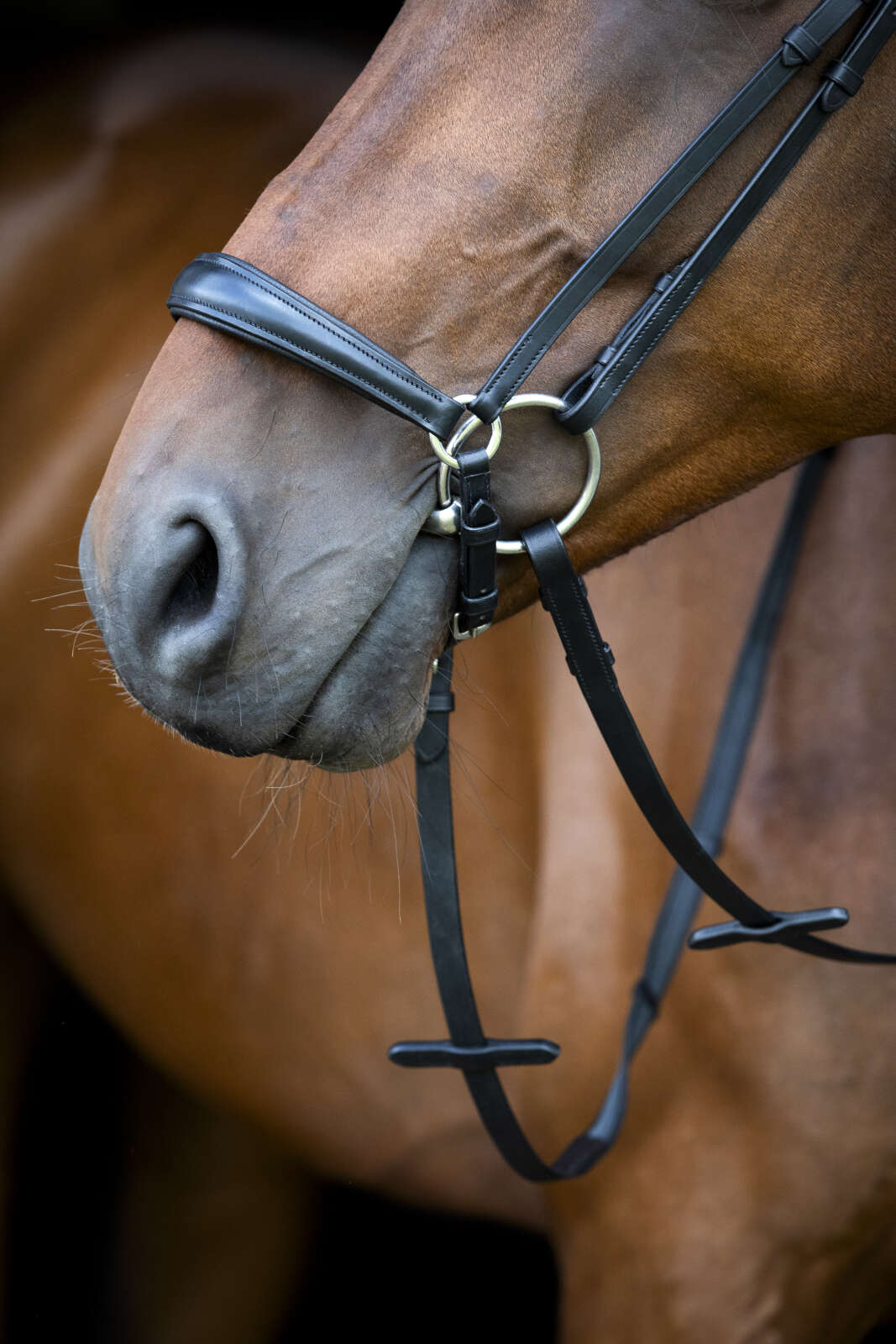 Horse Guard Cryll 26.1 träns med hannoveransk nosgrimma