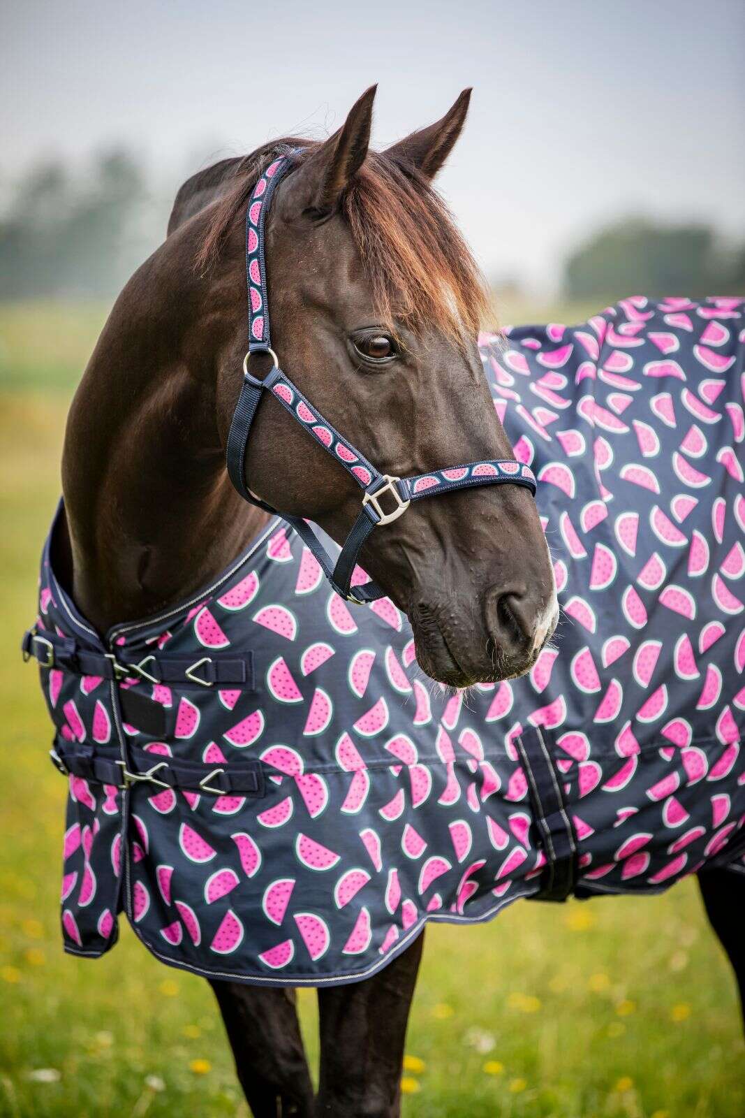 Horse Guard Melon halter