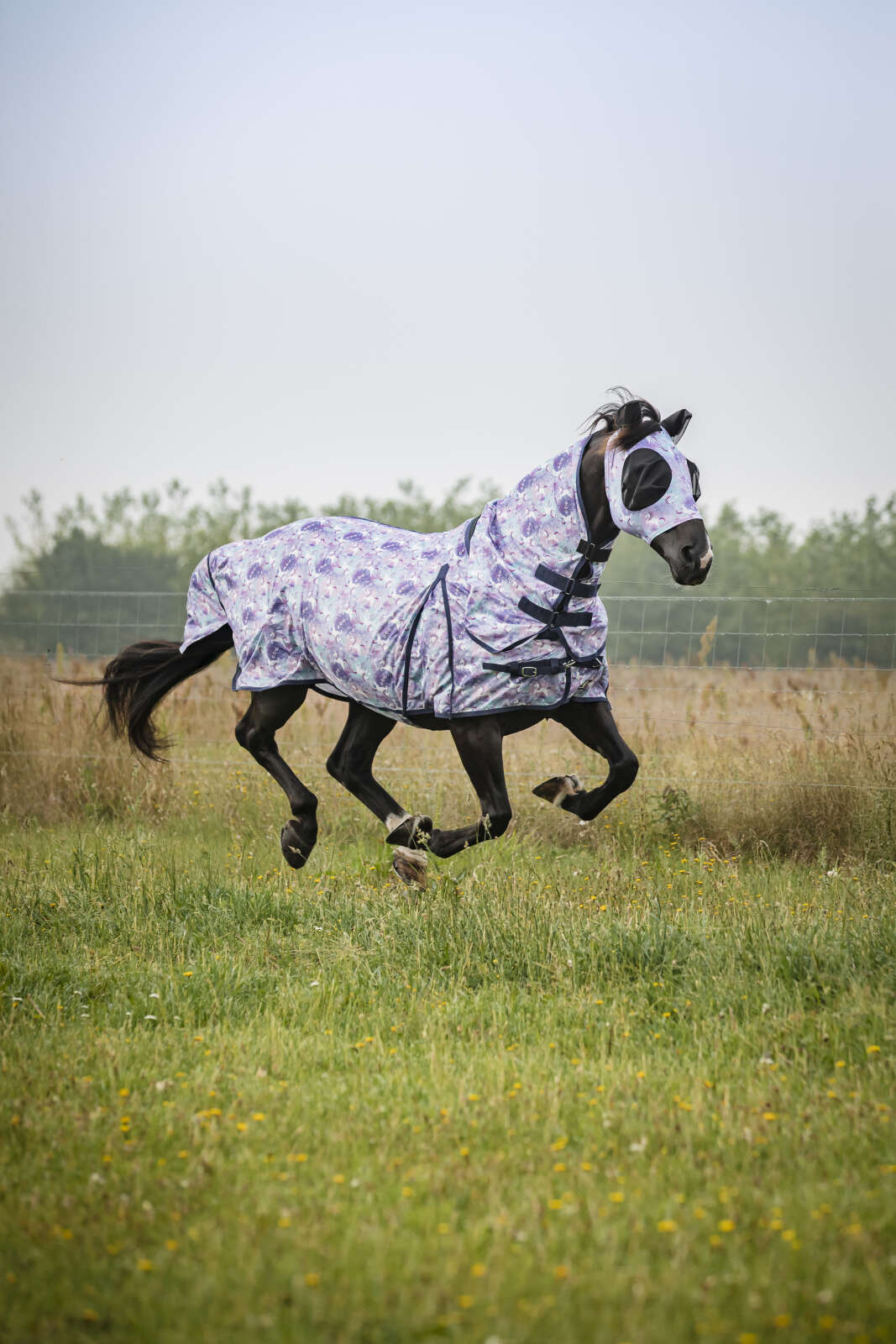 Horse Guard insect mask with print