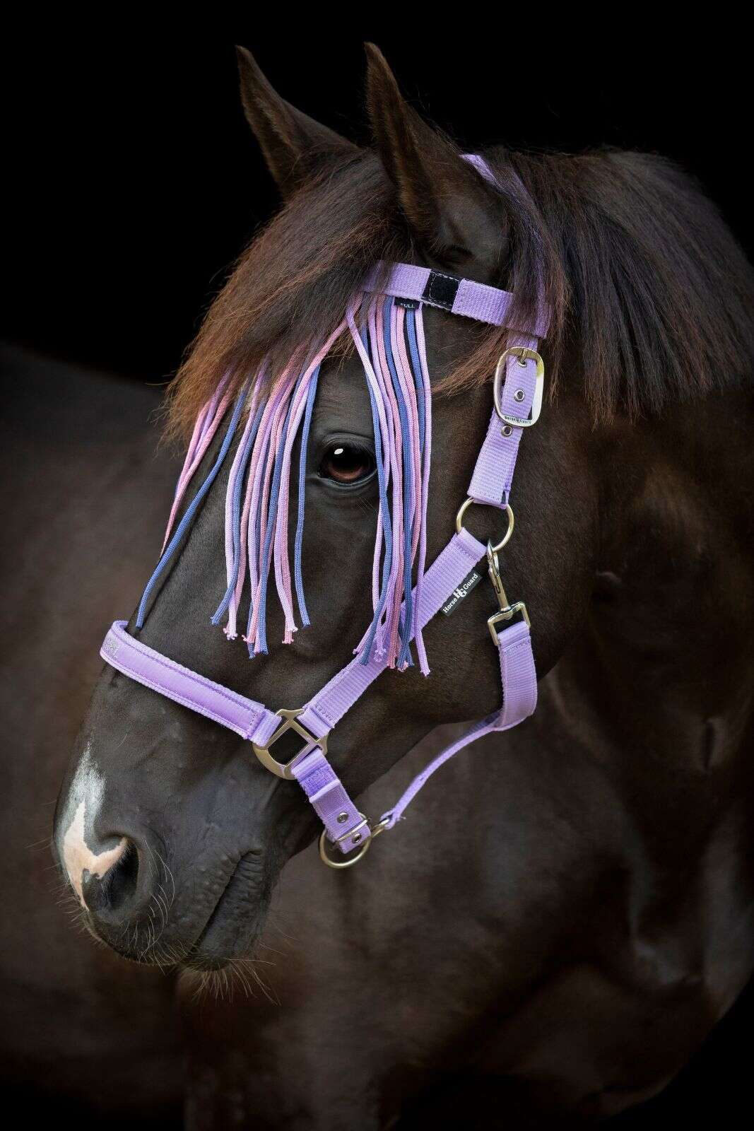 Horse Guard Malva Fly Fringe Browband