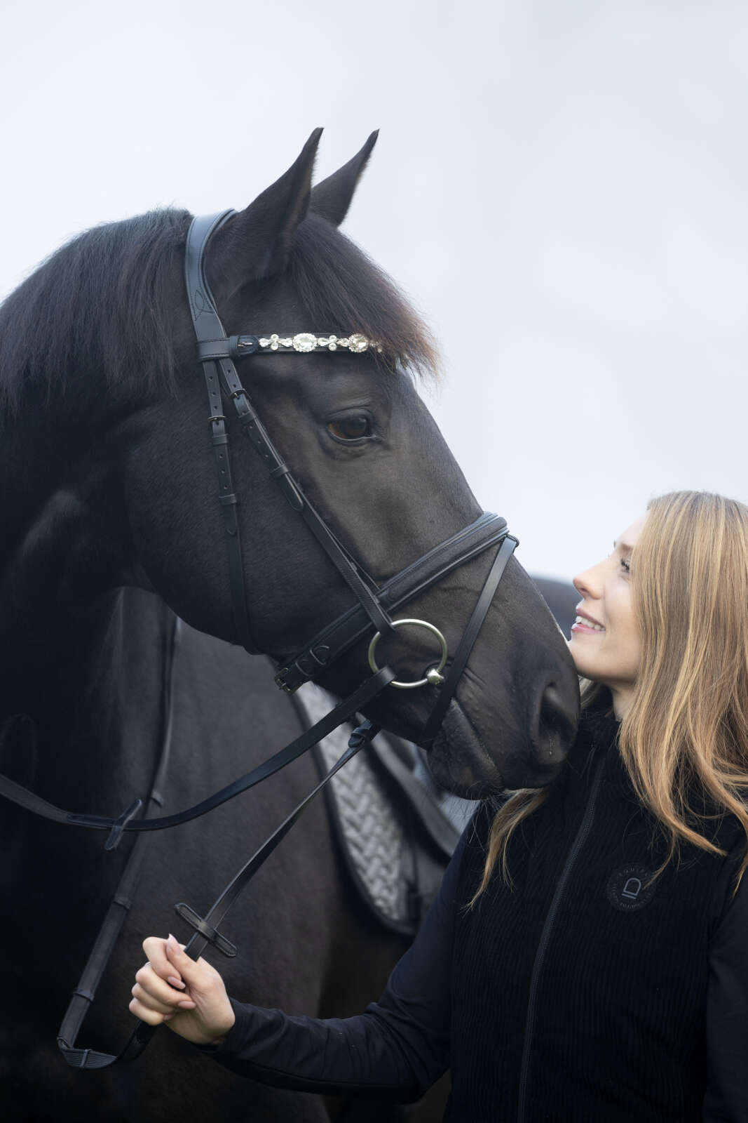 Horse Guard Sunnywale crystal browband
