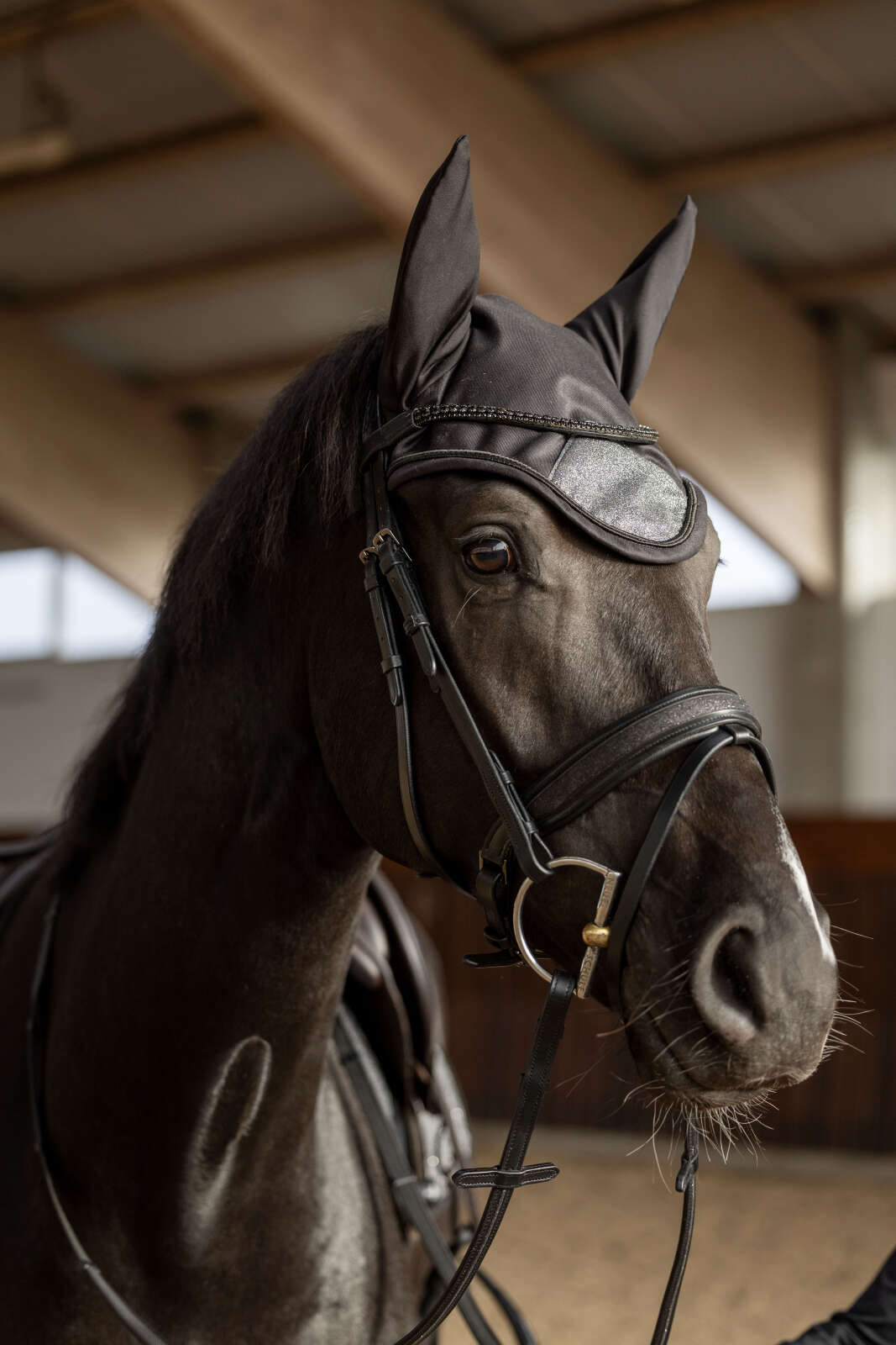 Horse Guard Waco Fliegenhaube